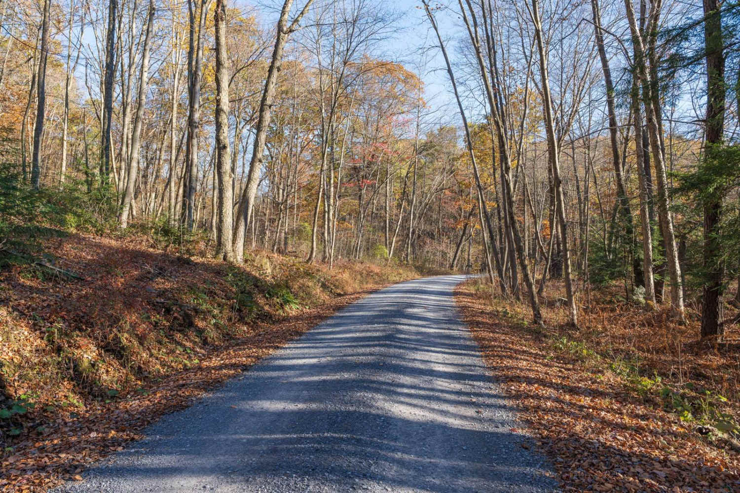 Benner Run Road