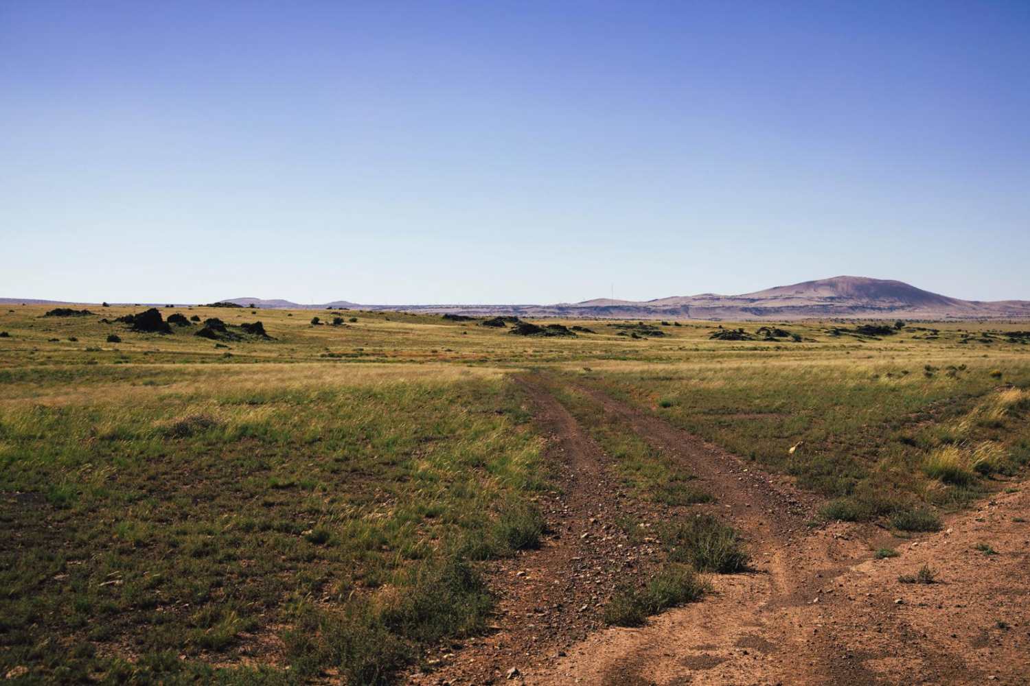 Tub Ranch Teardrop