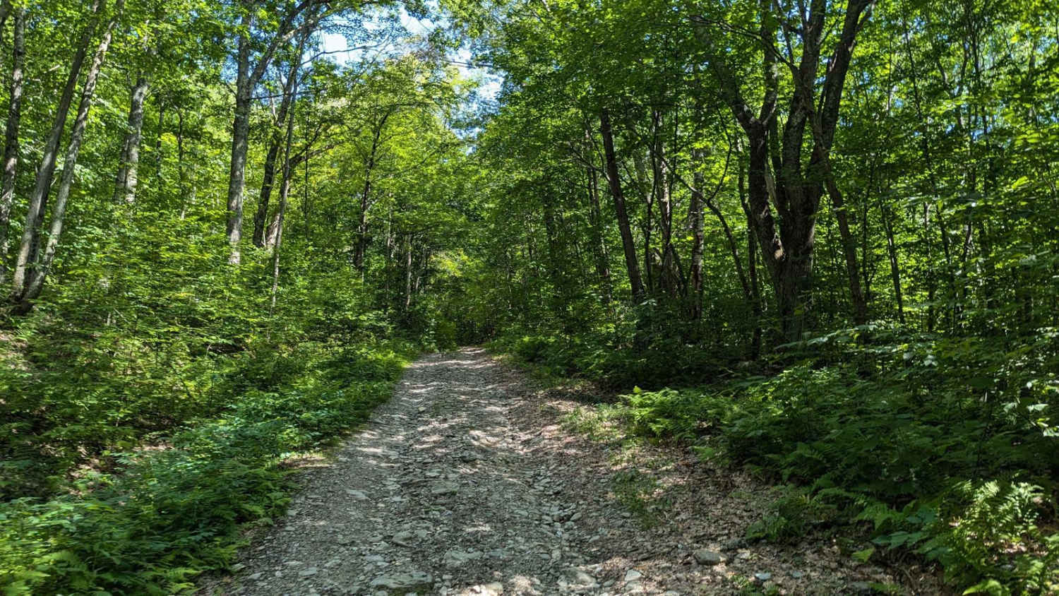 Southeast Corners Road