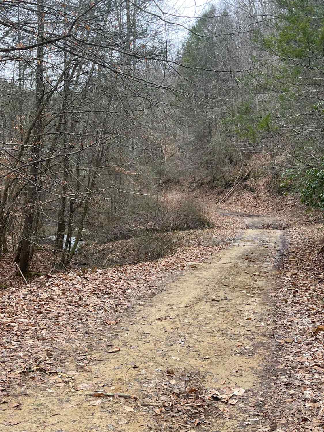 Trail 14 Cow Fork