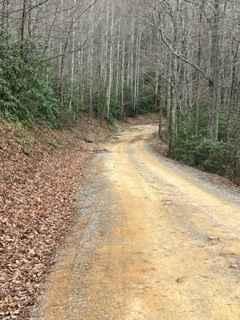 Flatwoods Road Extension