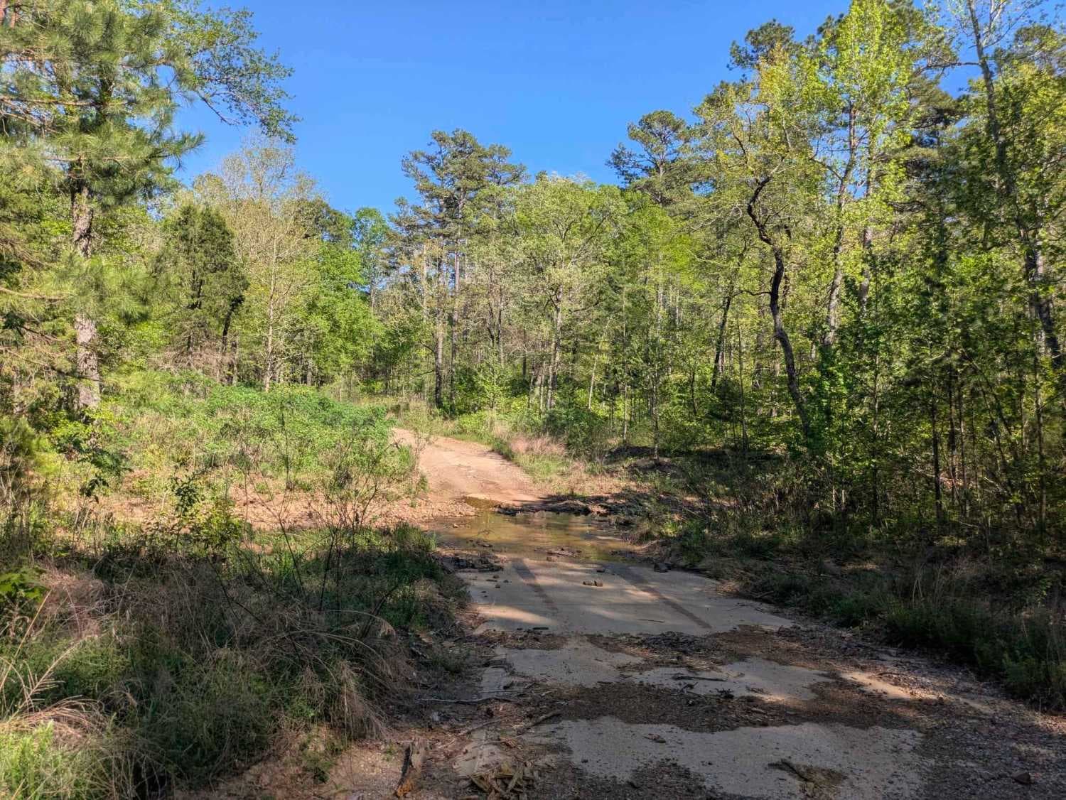 Pitfork Road
