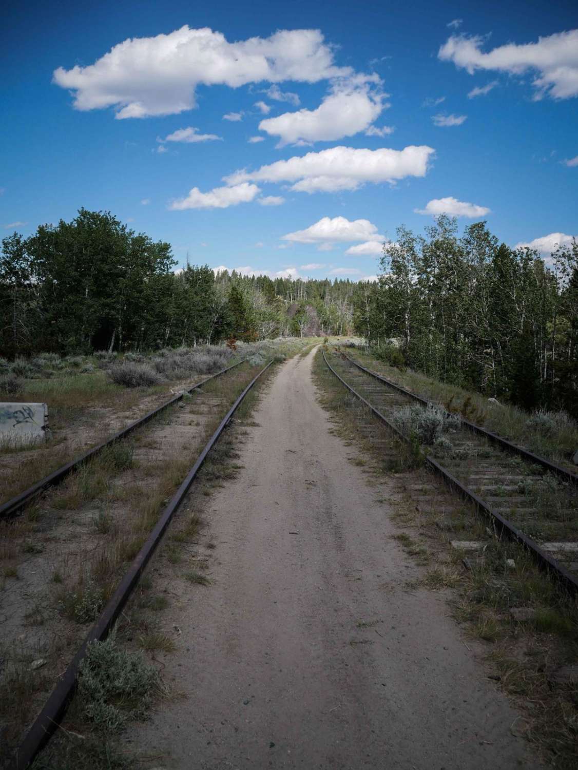 Homestake