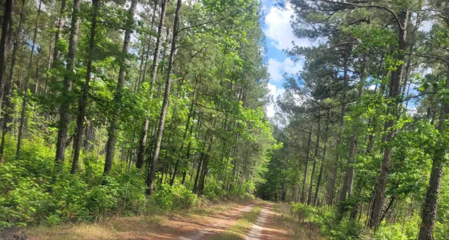 Wine Circle - FSR 620