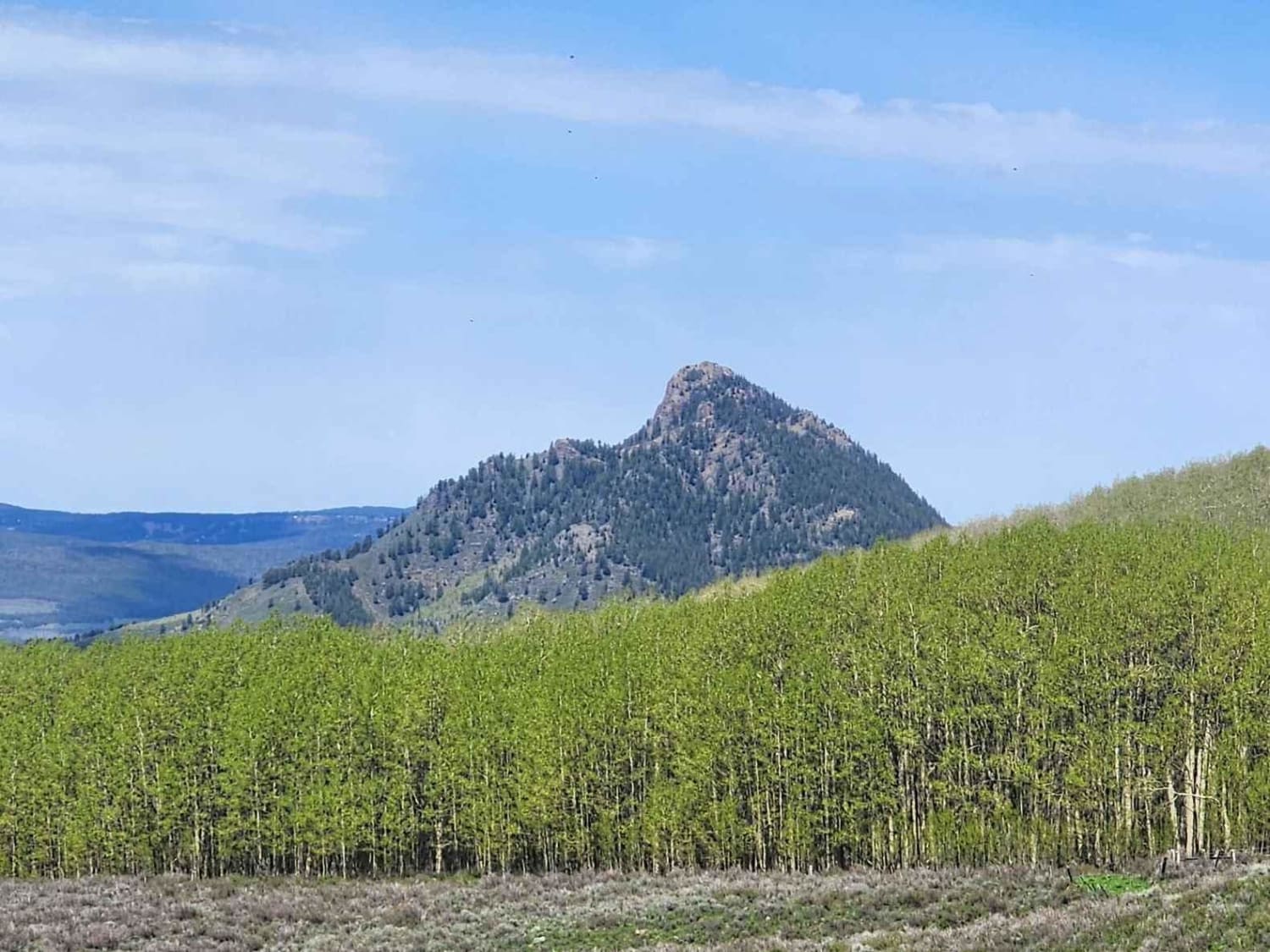 Chimney Rock Road (West Carter Mountain)