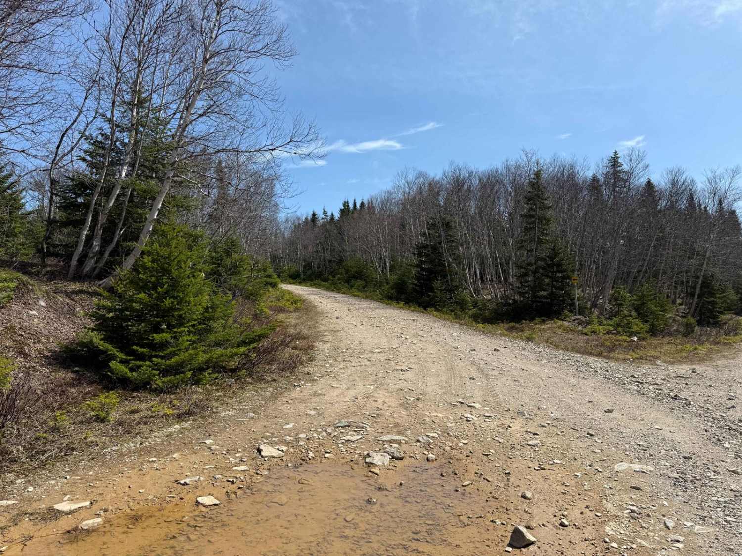 McMillan Flowage Trail