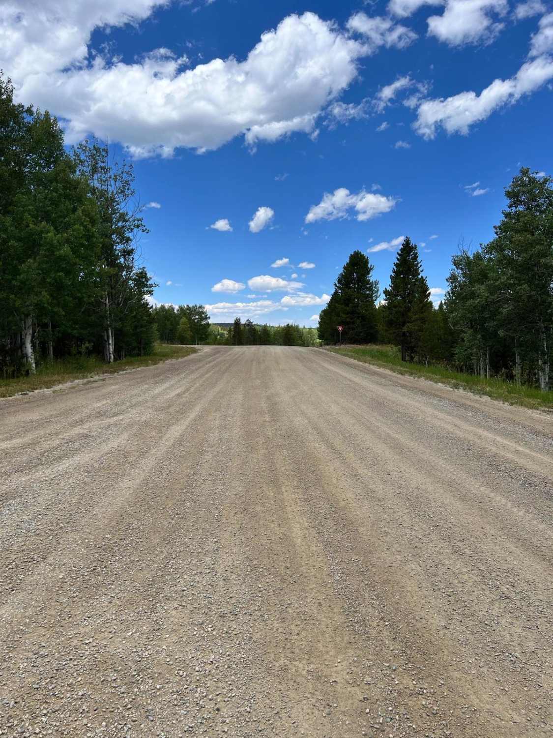 Williams Fork Road - FS 138