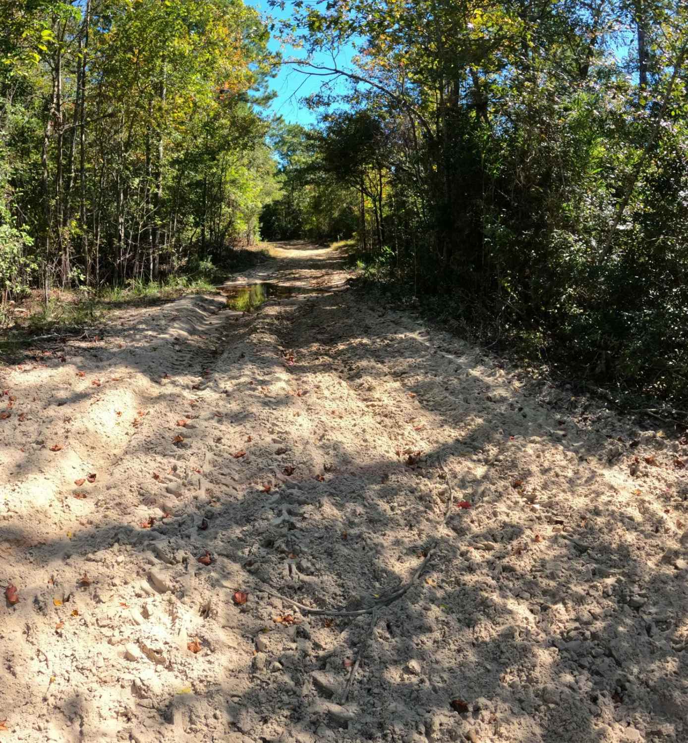 Barnhill Road