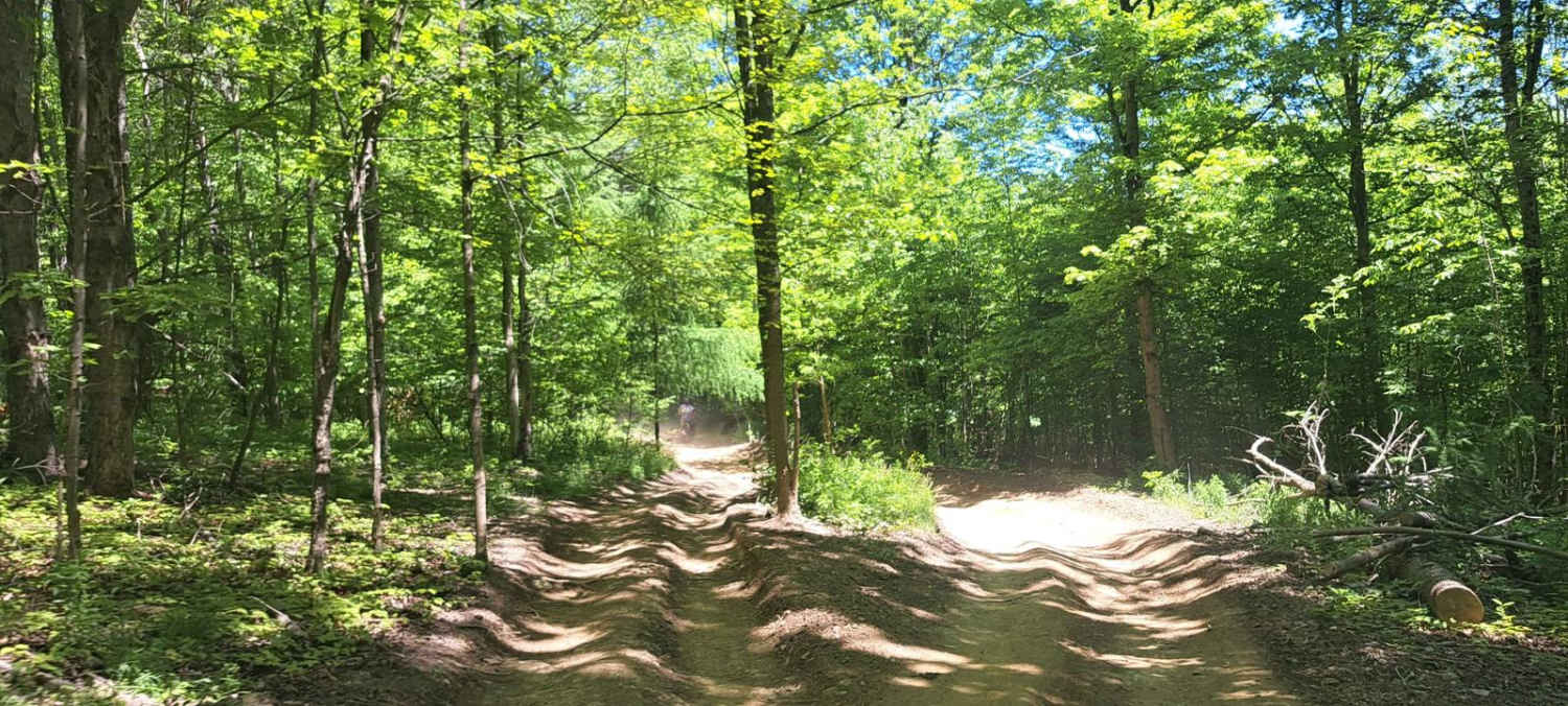 Pat's Path