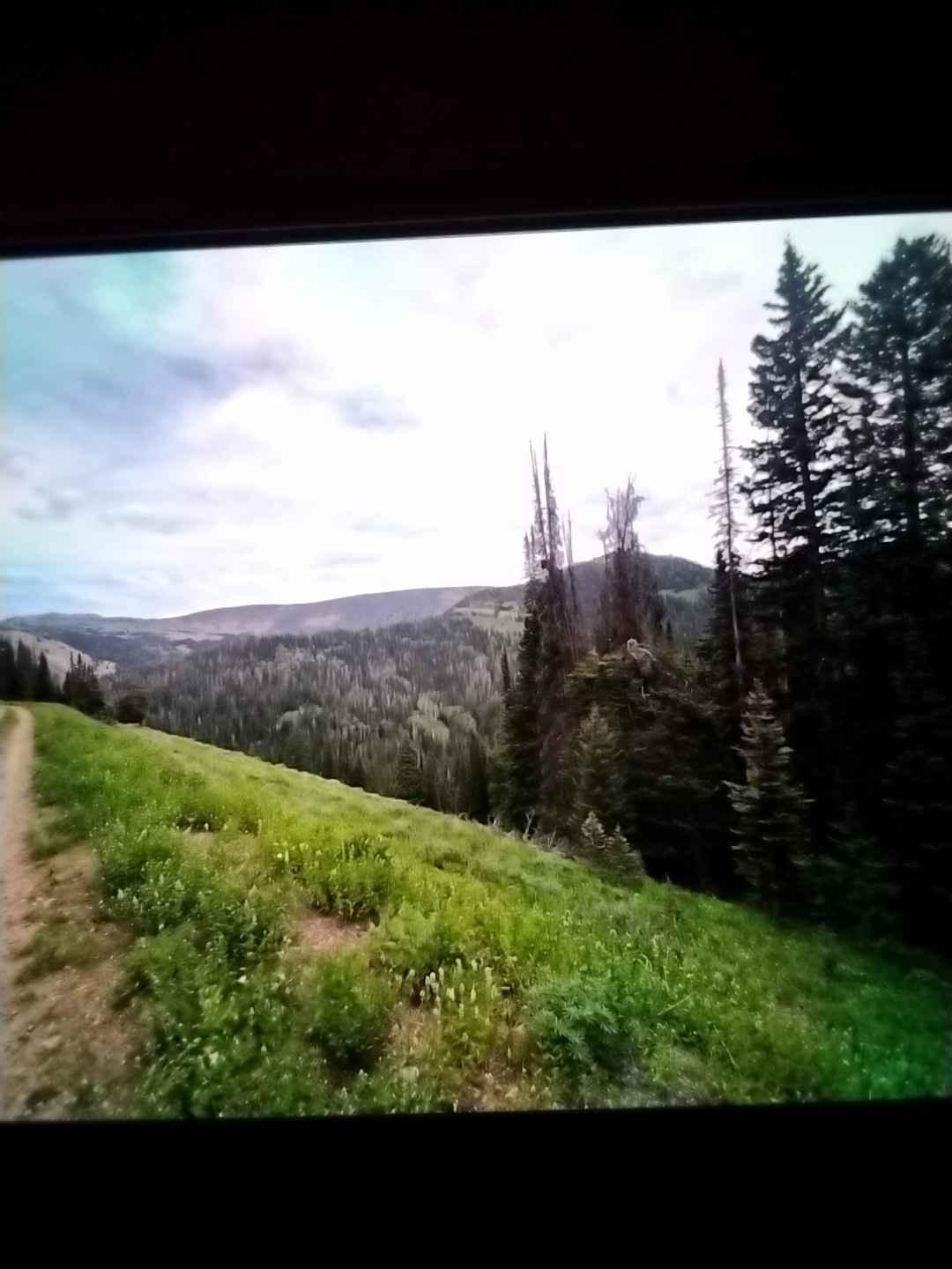 East Fork Loop