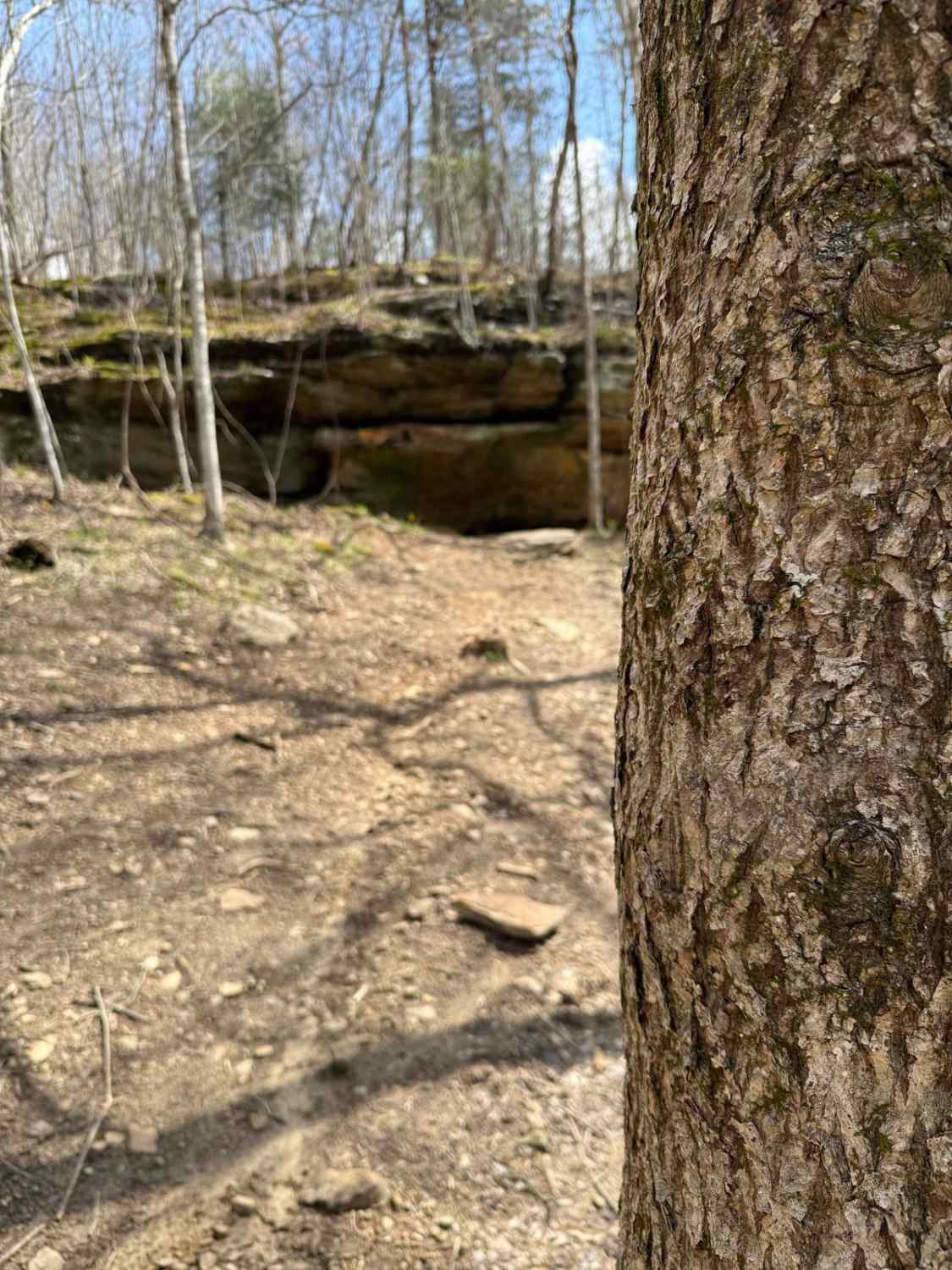 Trail 24