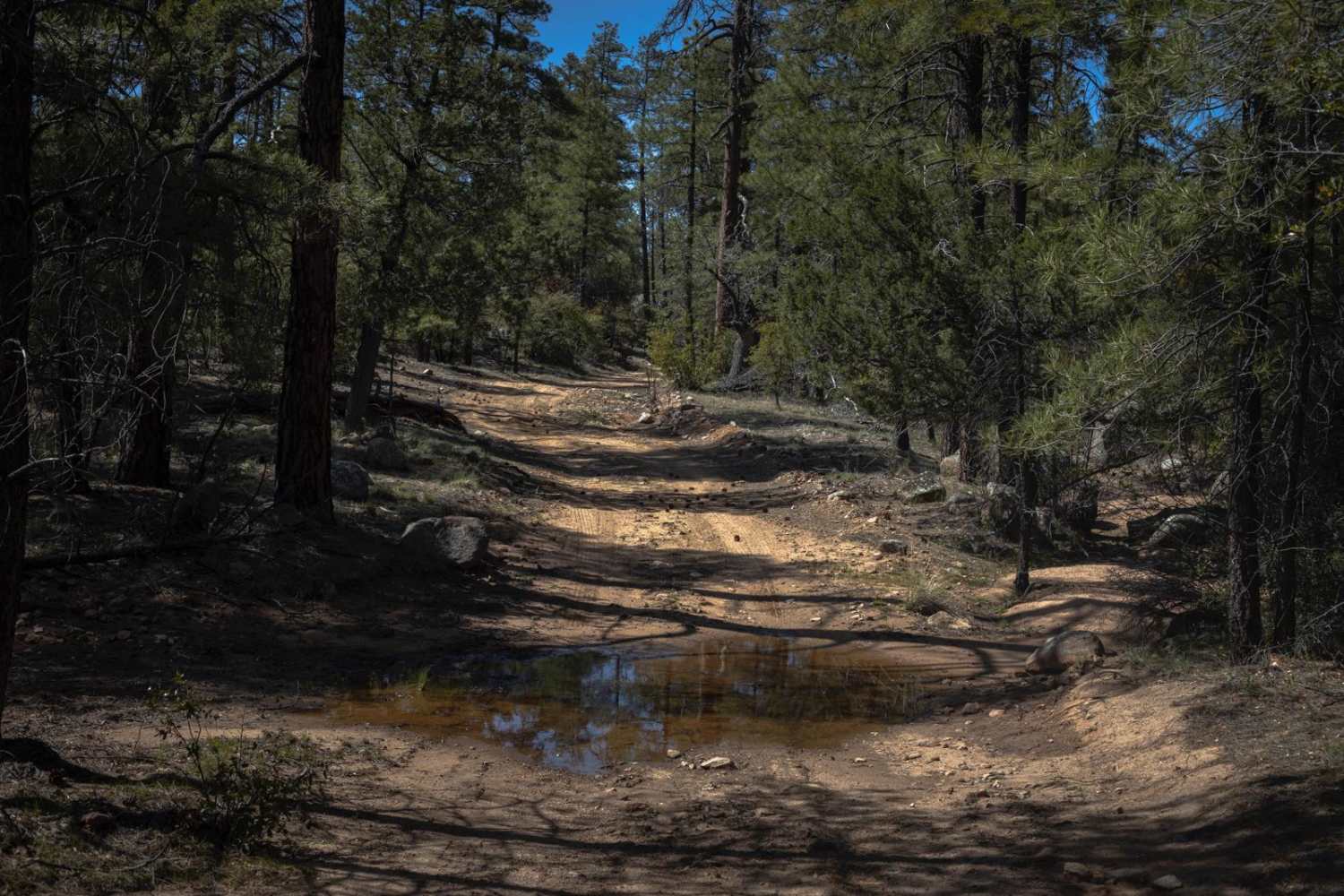 Turkey Run