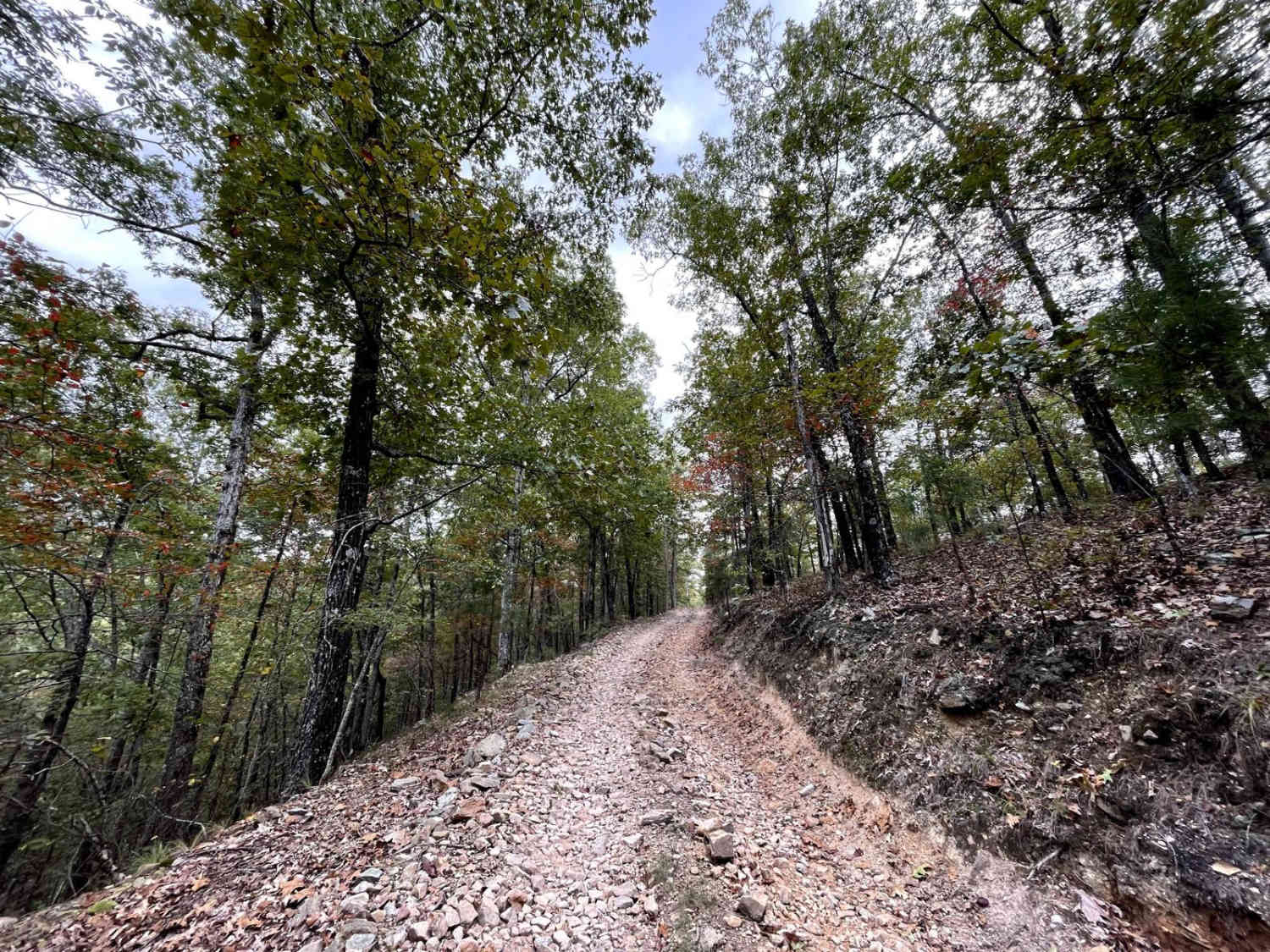 H42 Parker Lane
