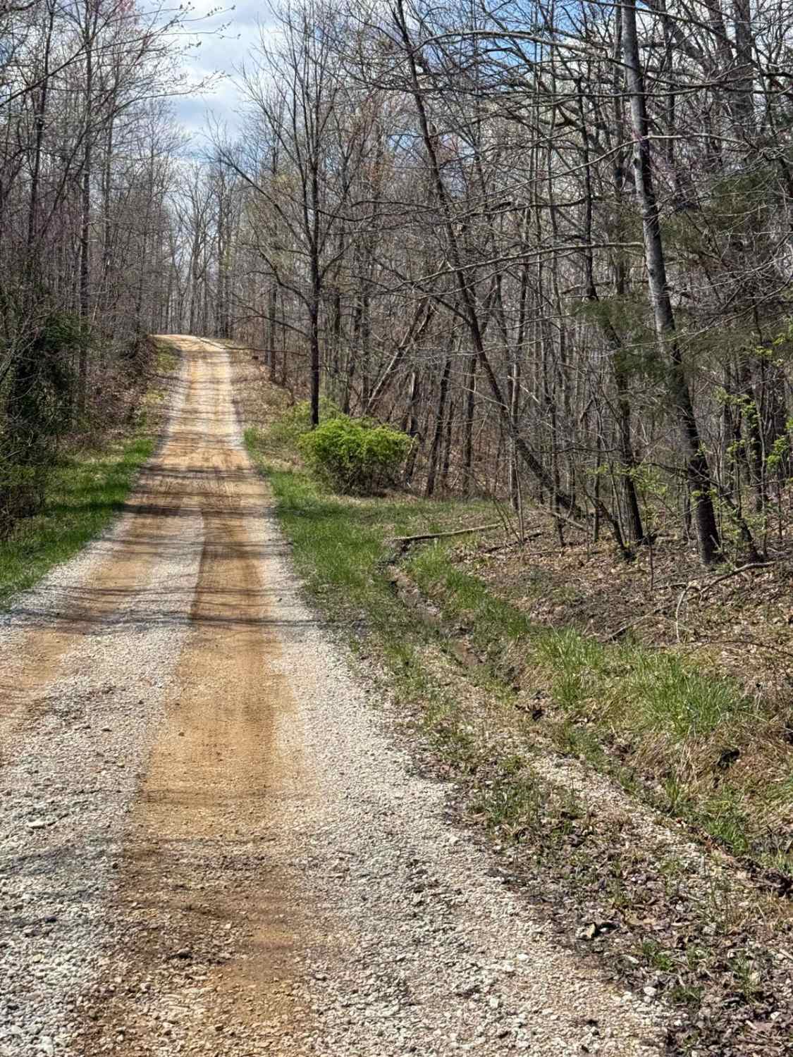 Billey Fork Road