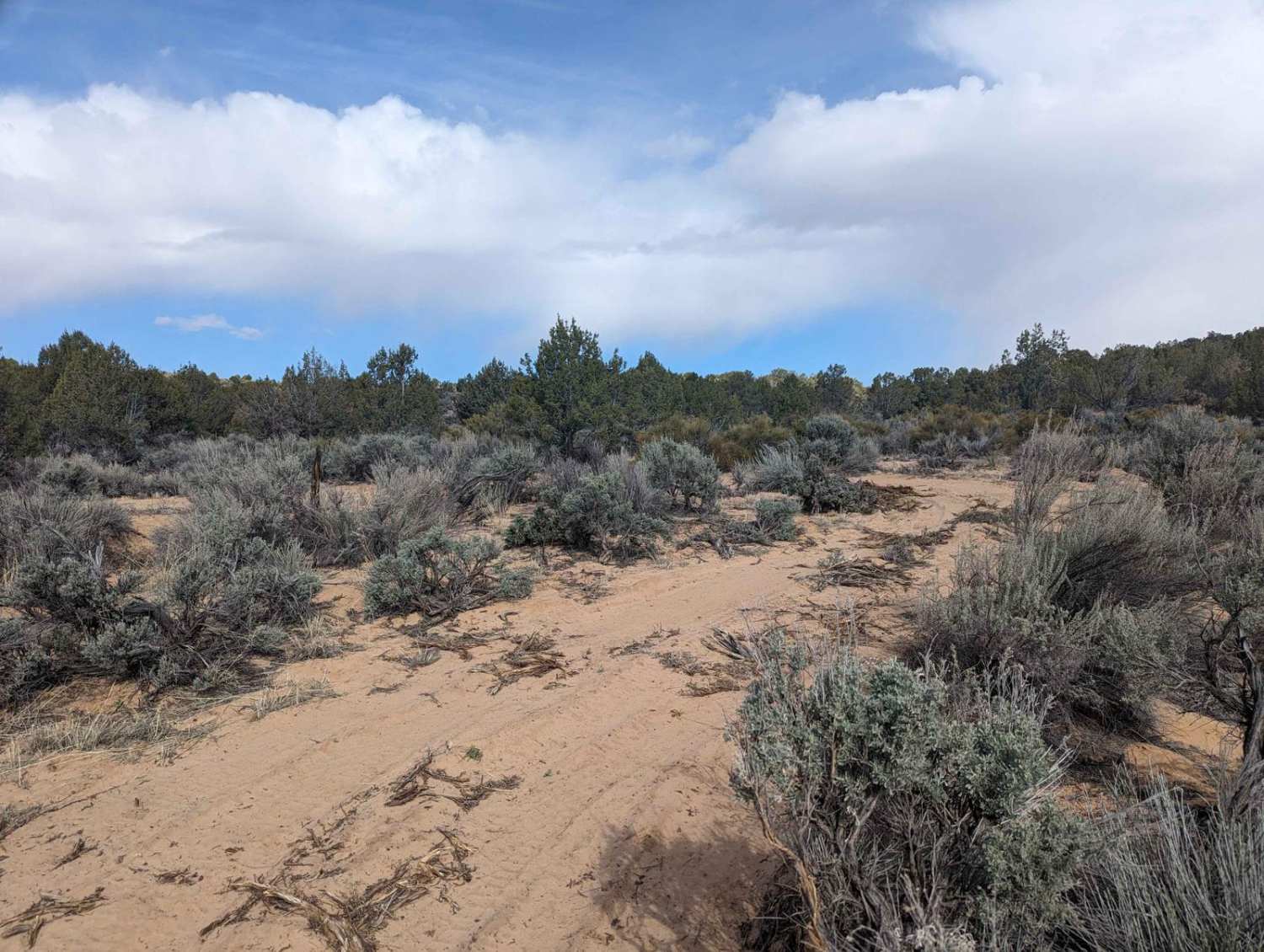 Nephi Pasture Road Offshoot