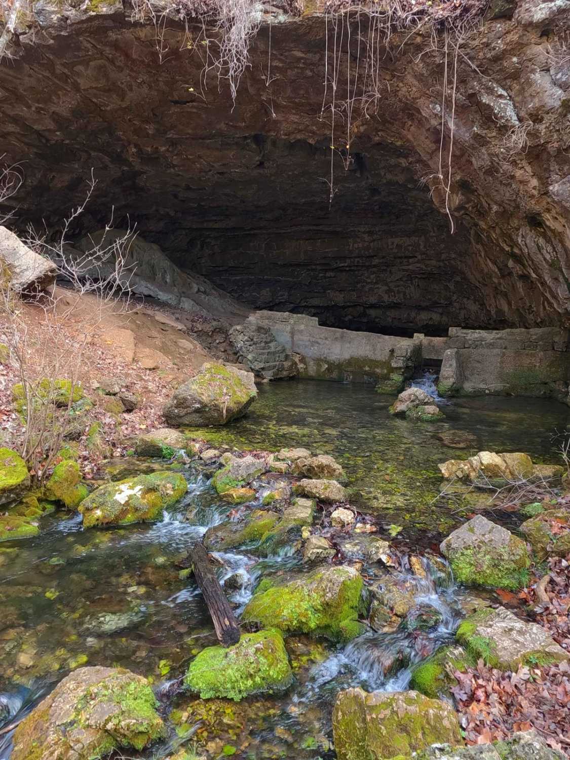 Cave Spring - NPS 105
