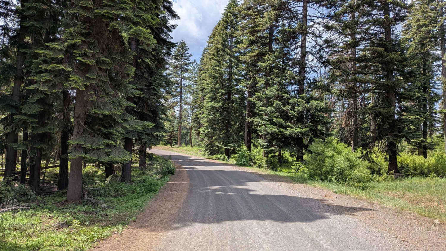 Wellamockin Road North NF46