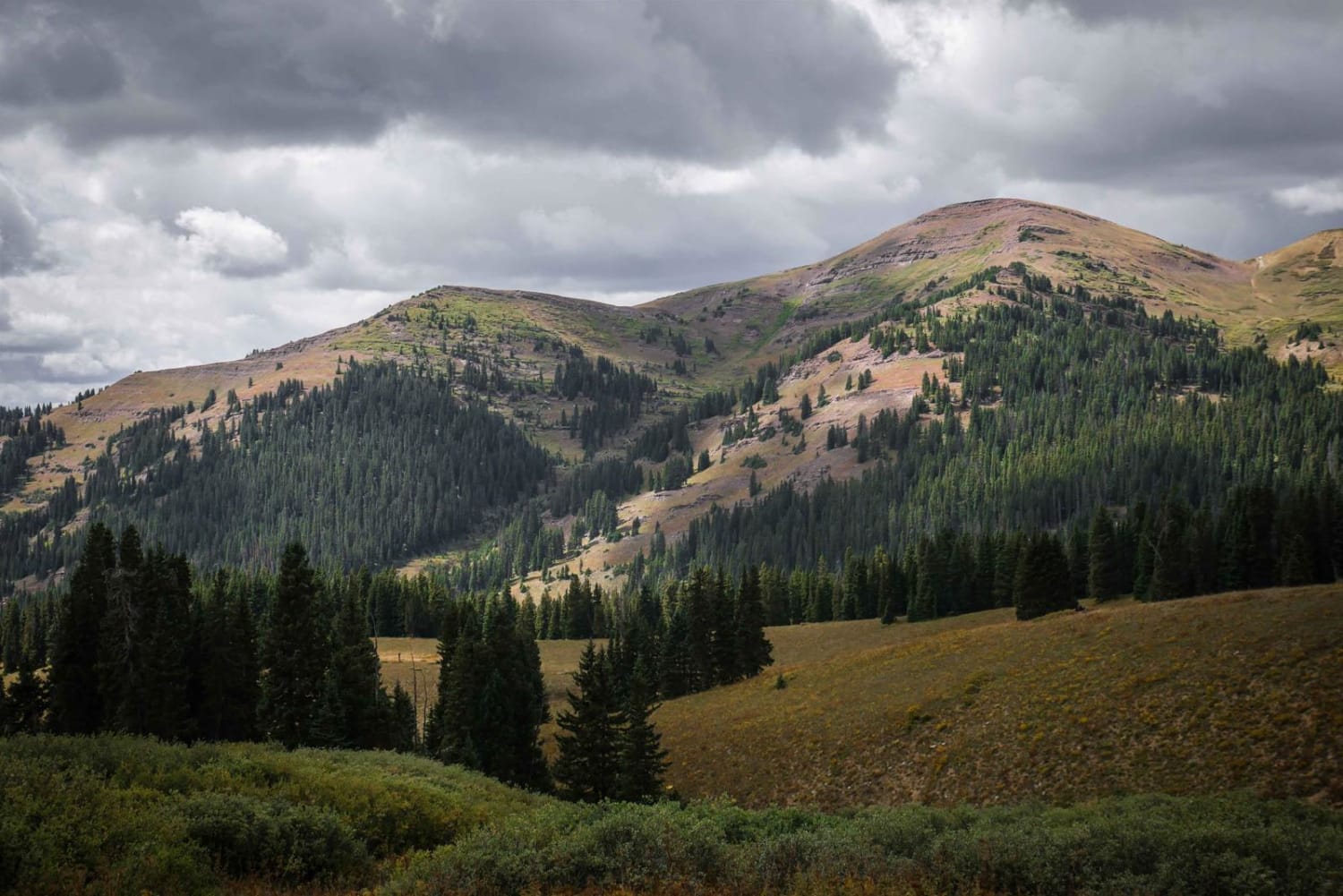 Brush Creek - Trail 400