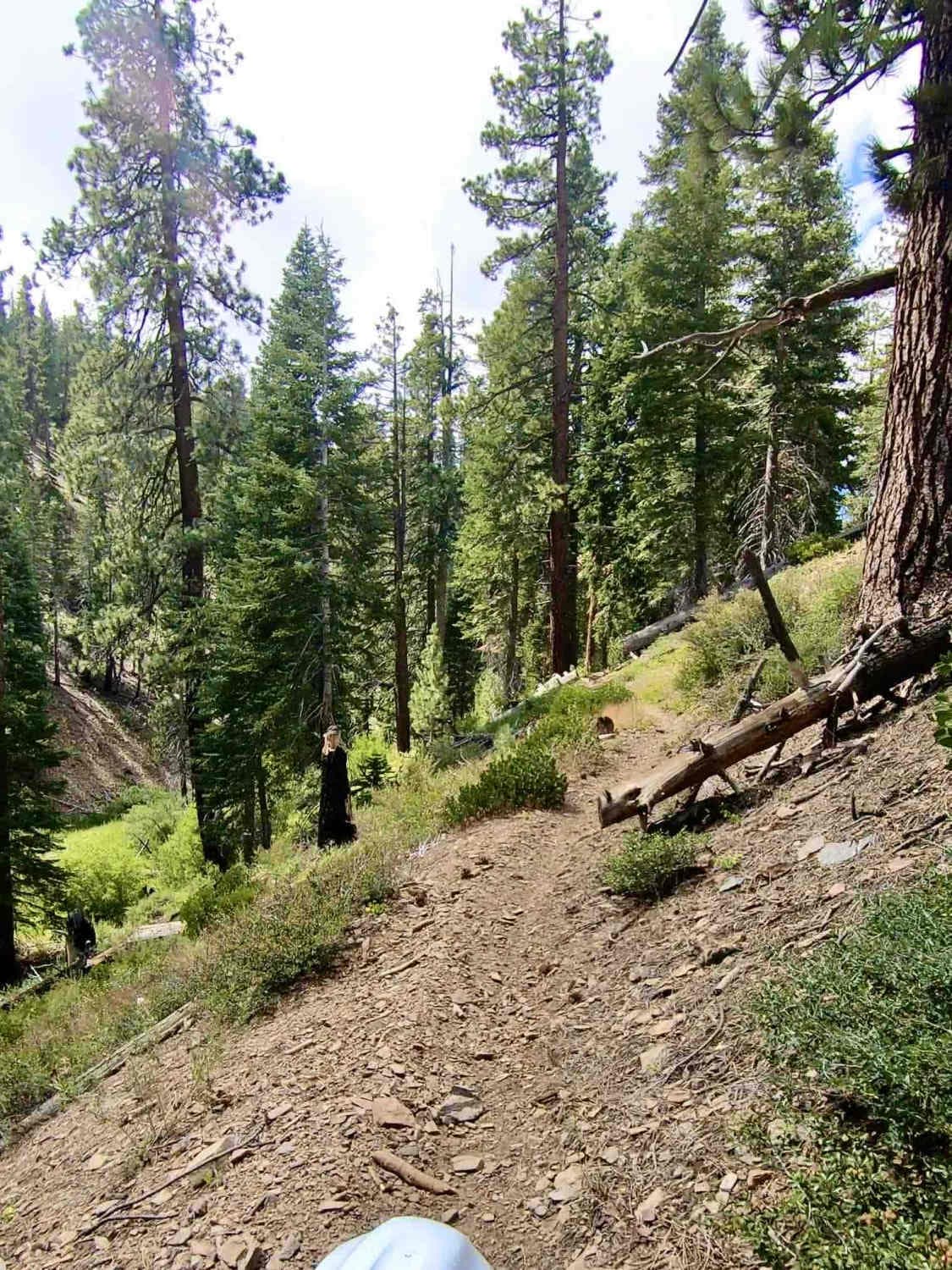 Beach Trail