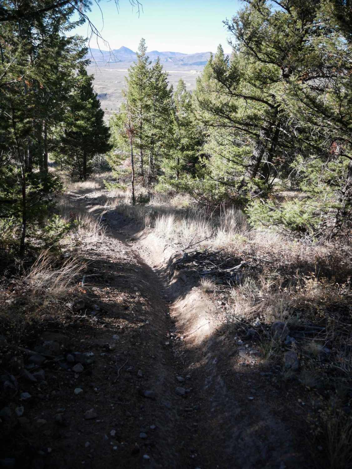 Little Wolford Mountain 