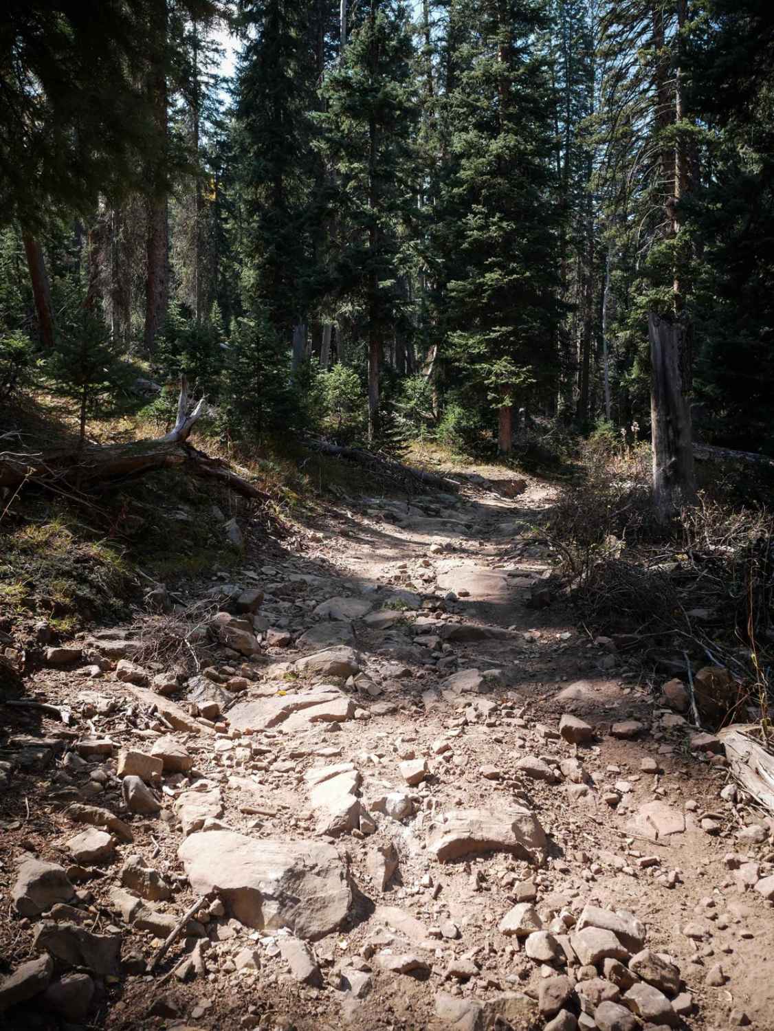Spring Creek ATV Trail (West) 