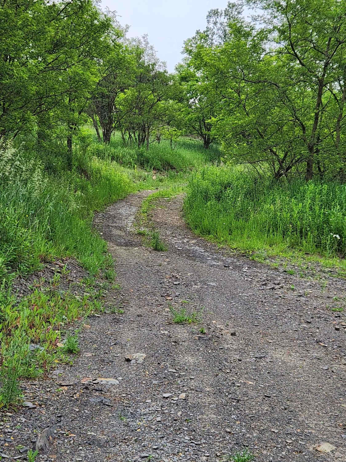 Trail 4I - Rock Run Recreation Area