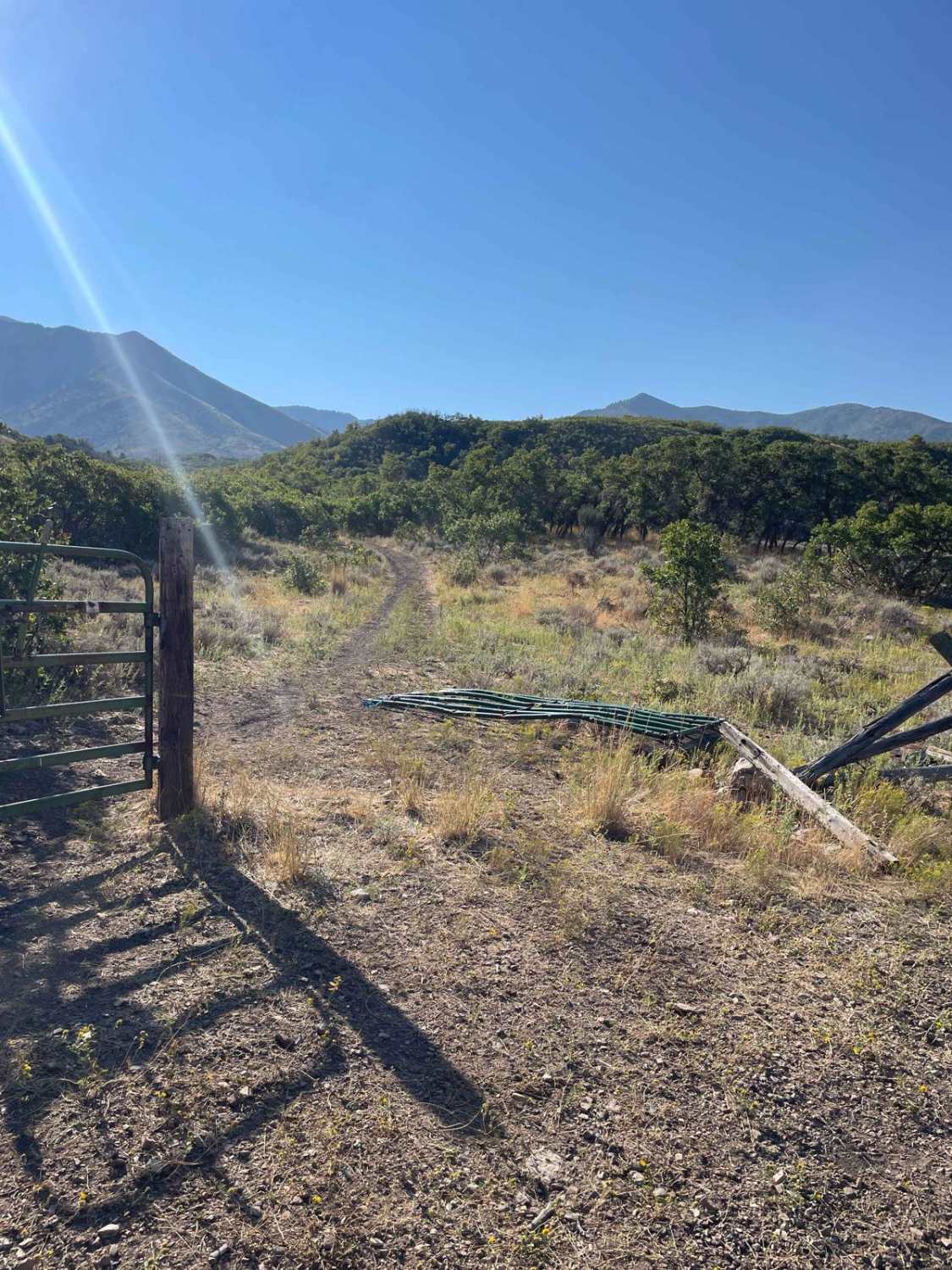 Springs Road Fence Line Trail