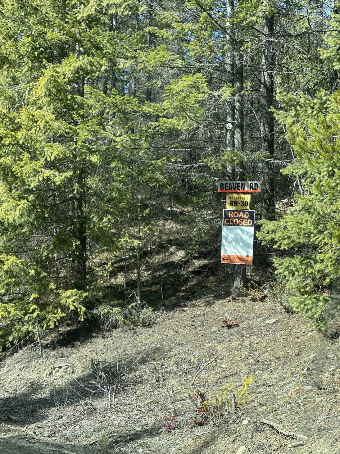 Fork Road - Closed