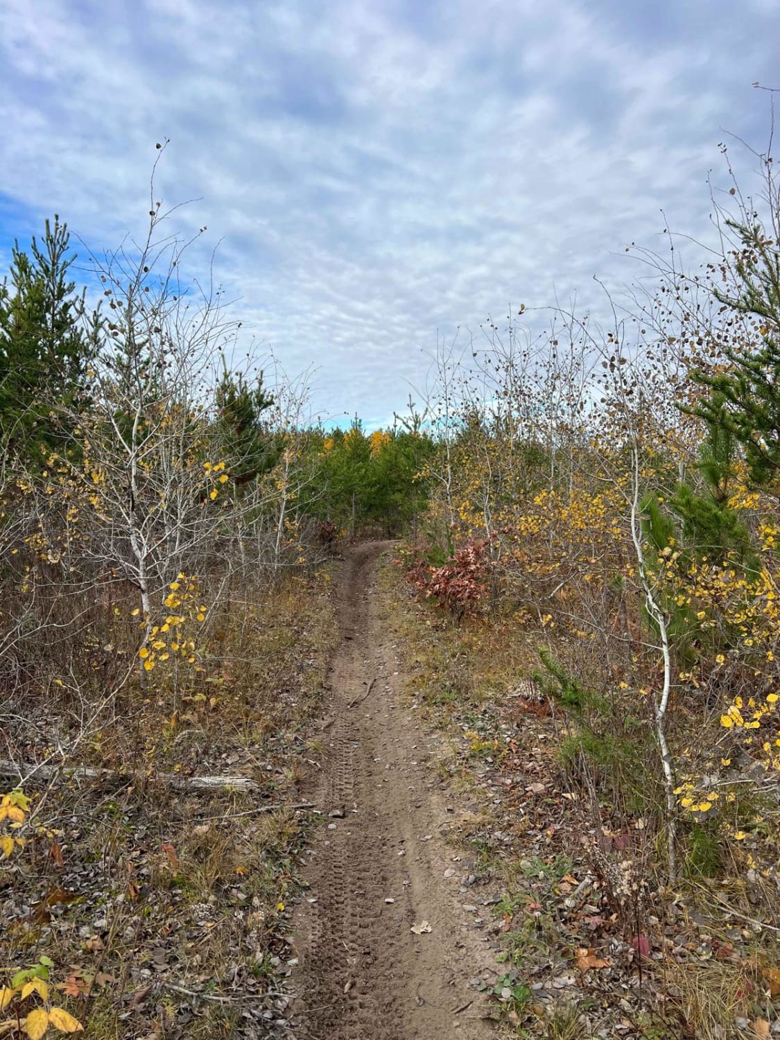 Crow Wing River Single Track