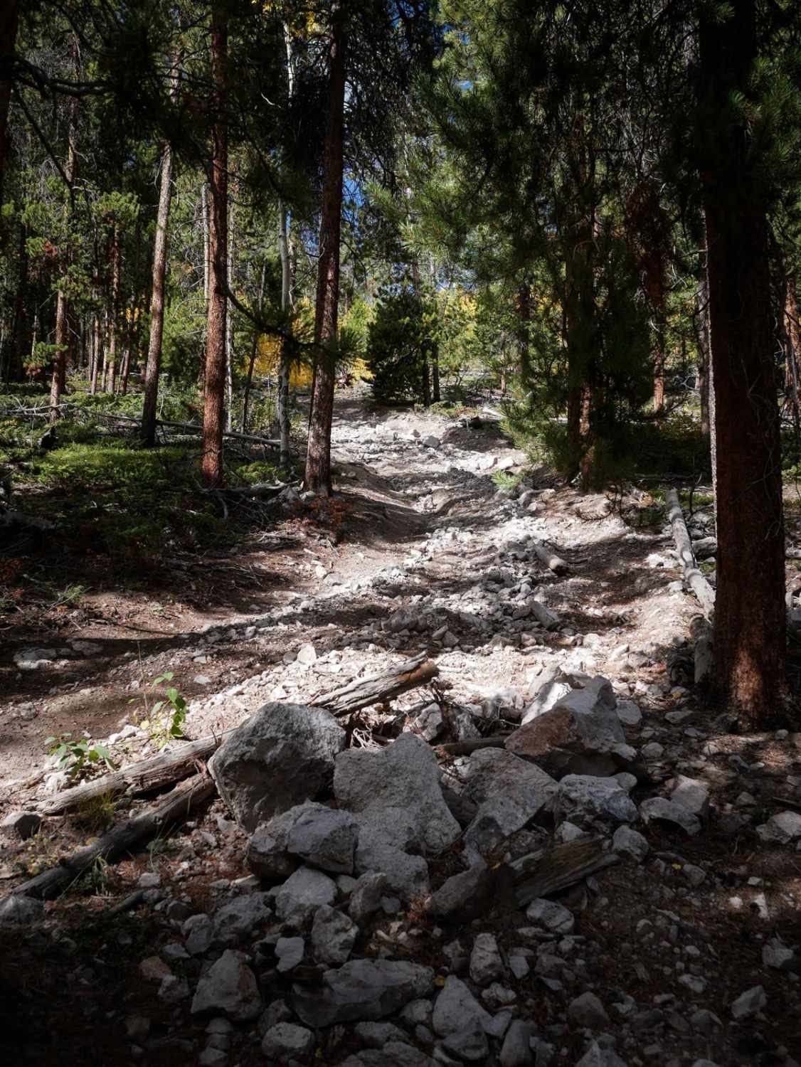 Left Hand ATV Trail 