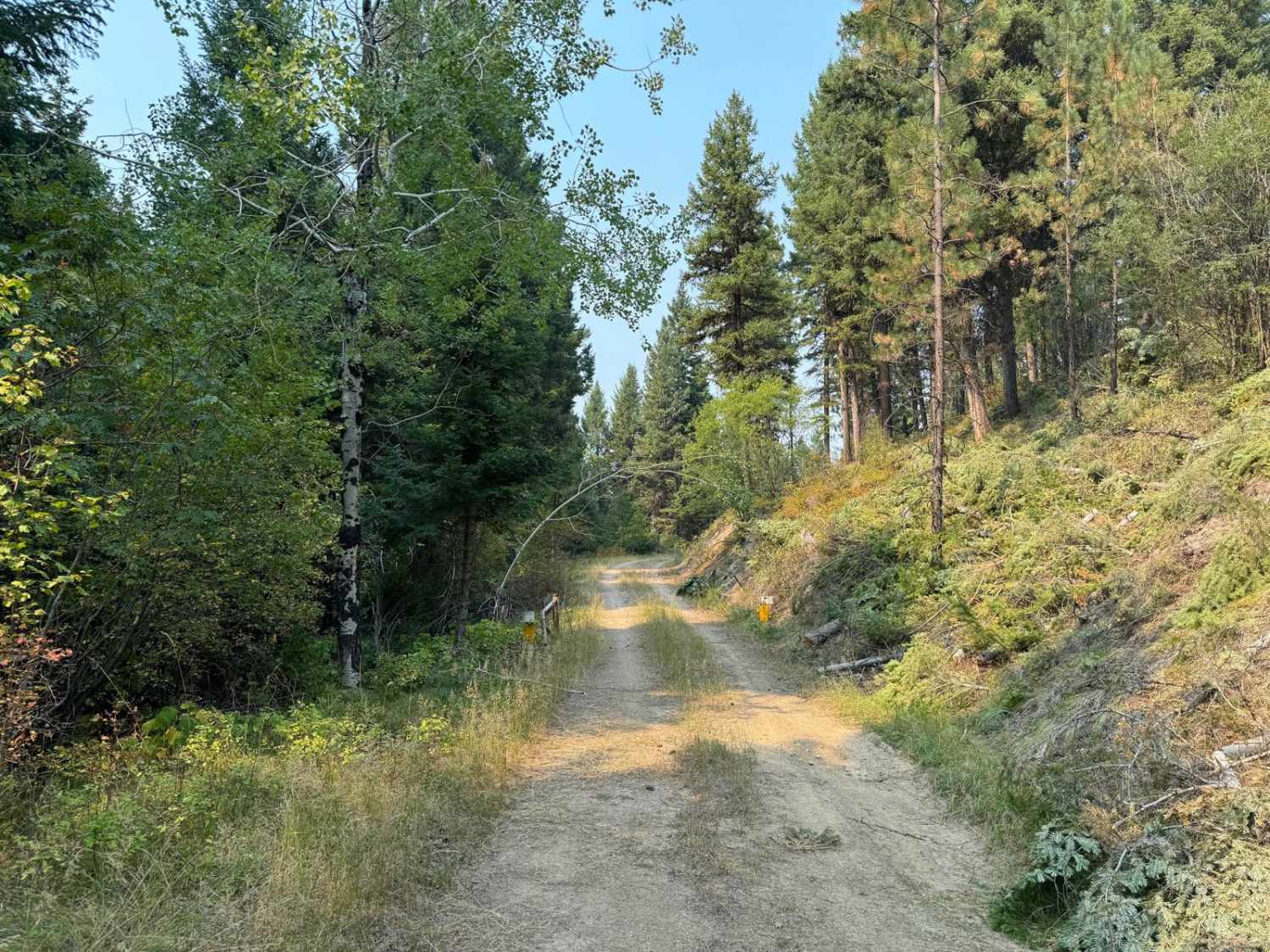 Chaffin Creek Hart Gulch