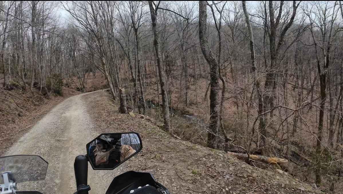 Tatham Gap Road - FS 423