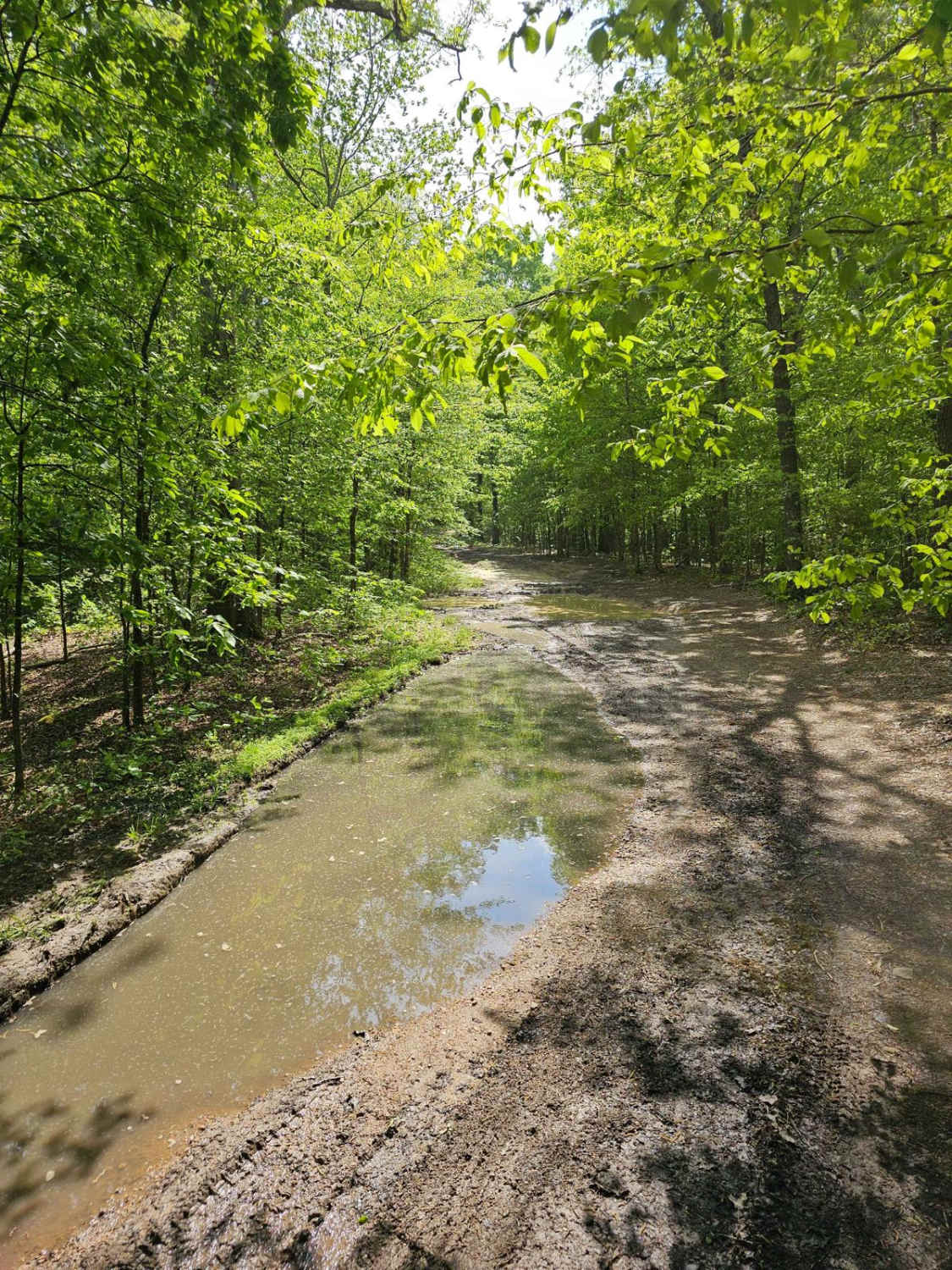 Forest Service Road 396