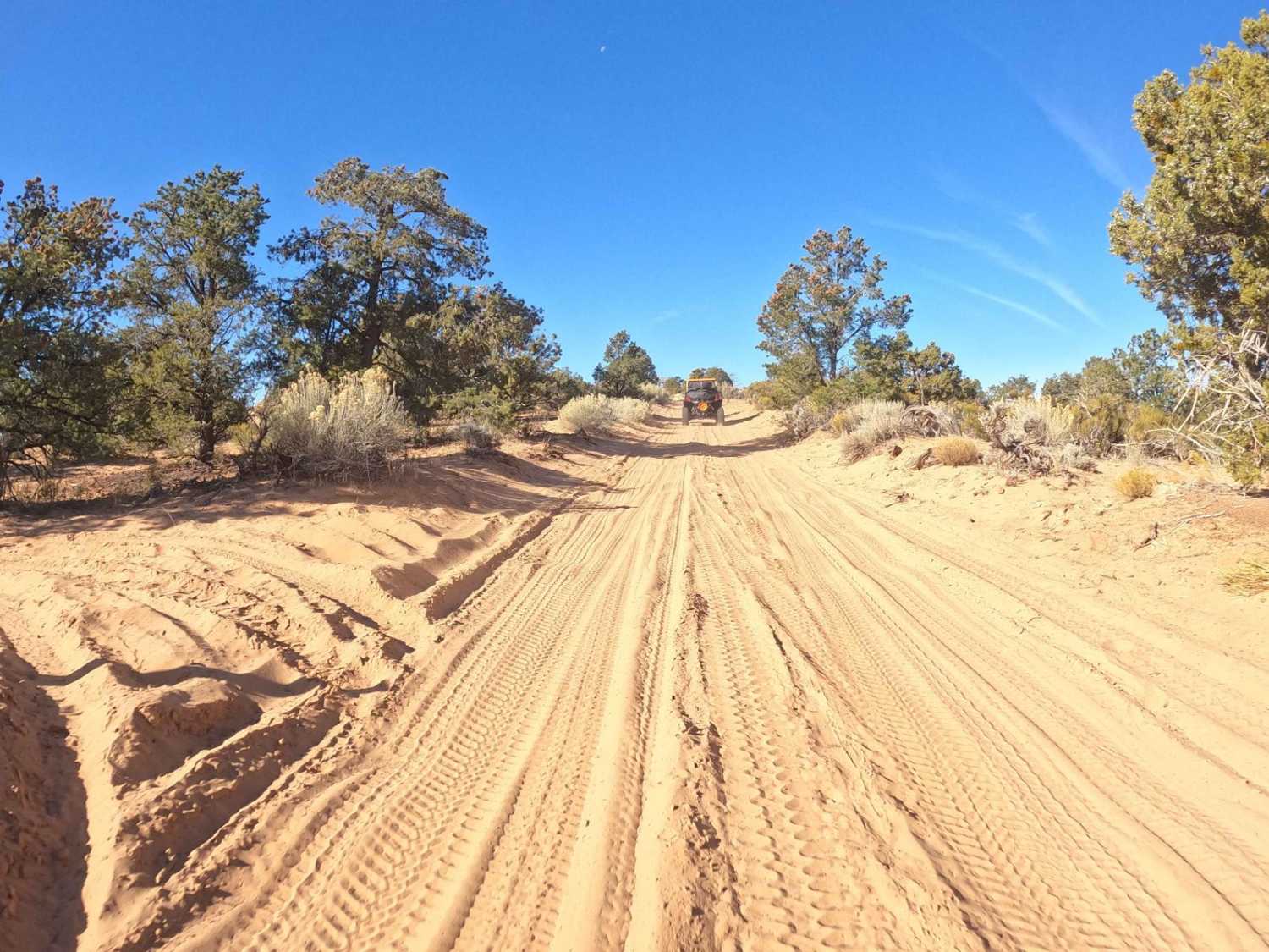 Hog Canyon 2 - Antenna Hill (BLM HC2)