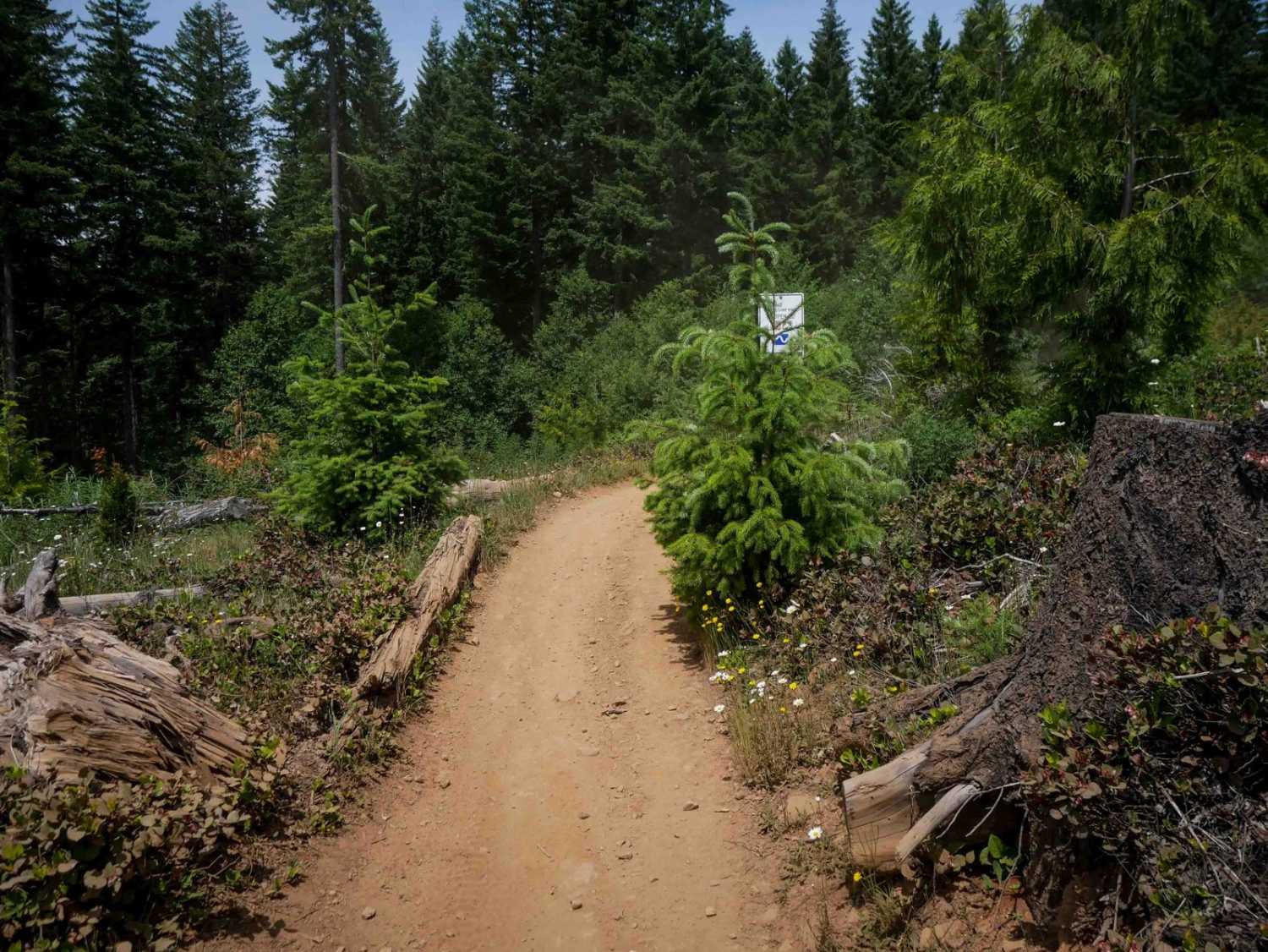 Rogers Camp Road #1 
