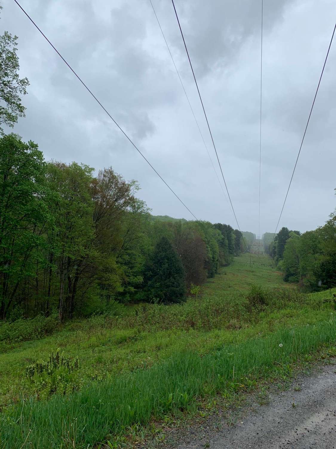 FR 297/237 Pine Run/Red Mill Campground