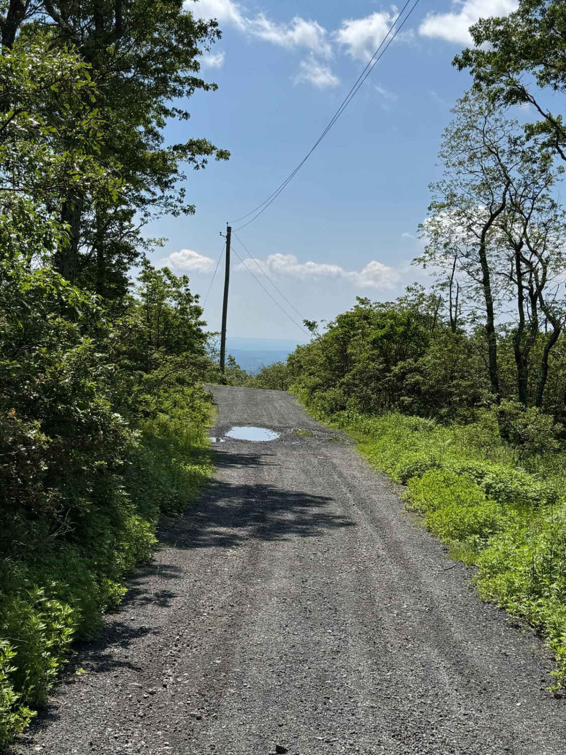 Fire Tower Road