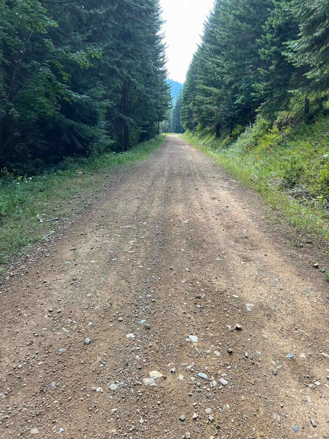 North Fork Road to Cascade Saddle