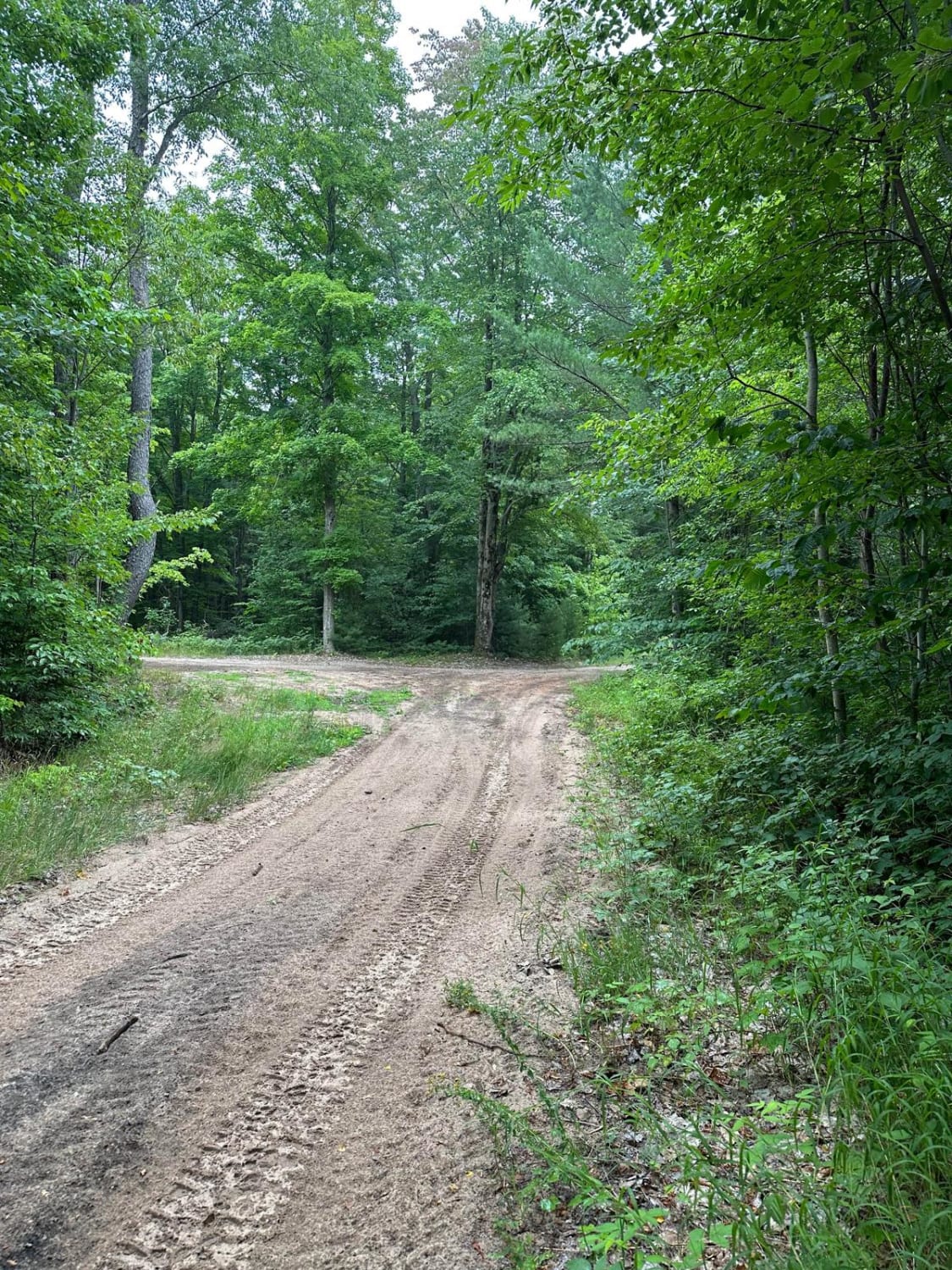 Eliza Lake Trail