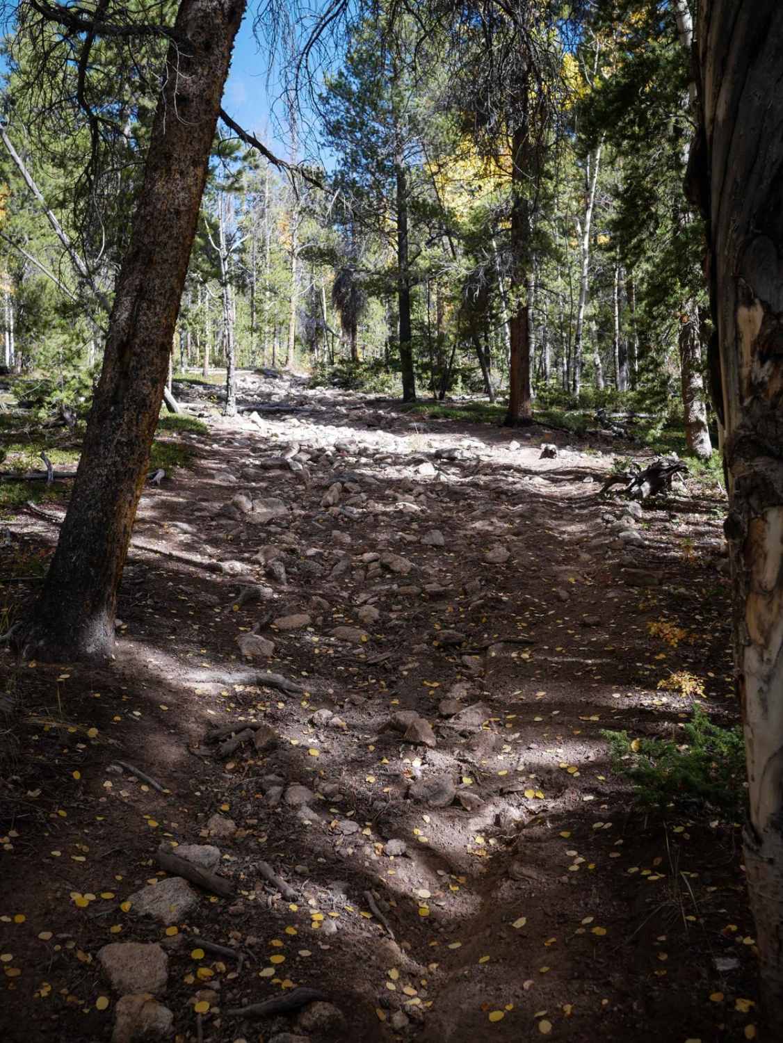 Middle Barrett ATV Trail 