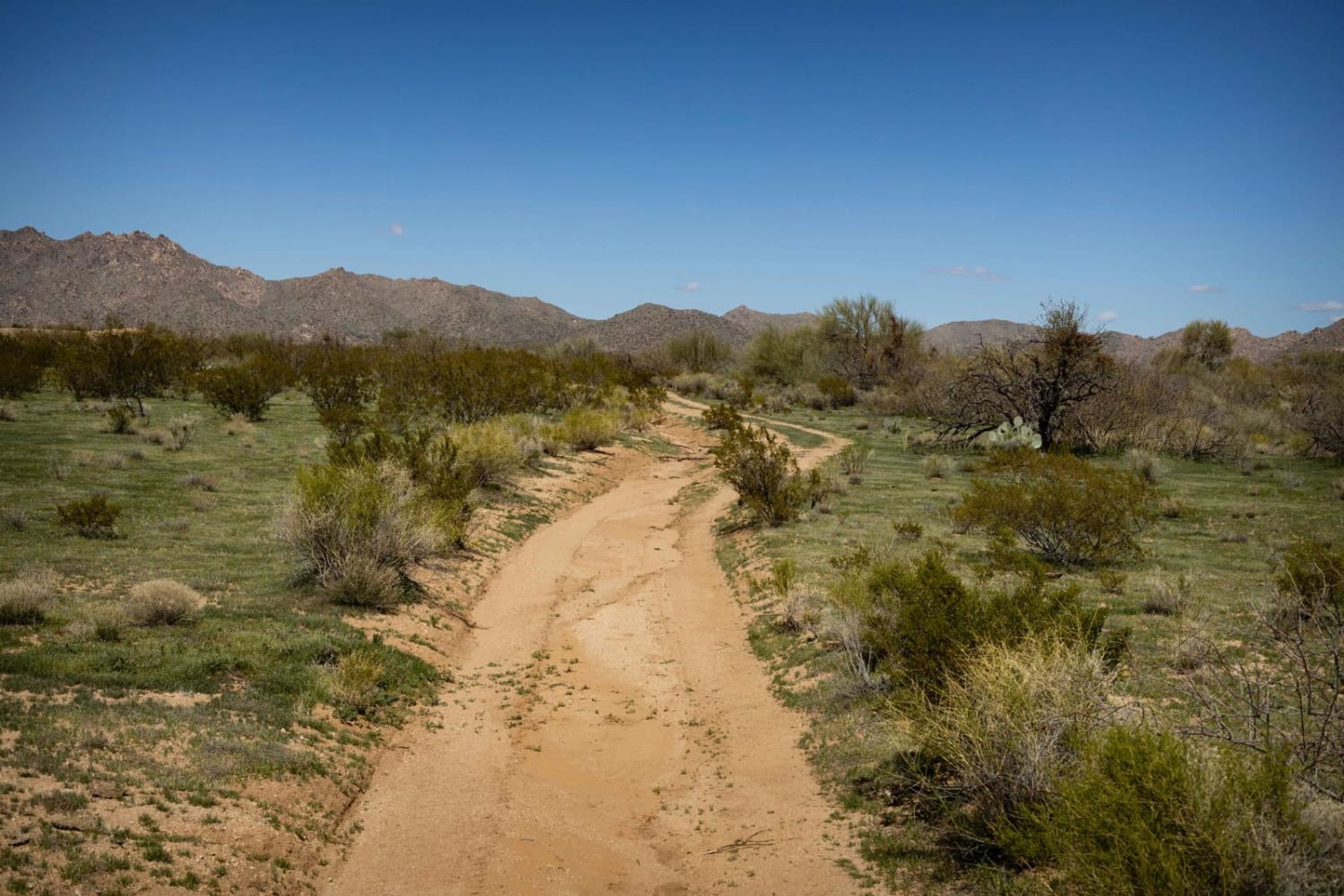 Lower Loop Trail