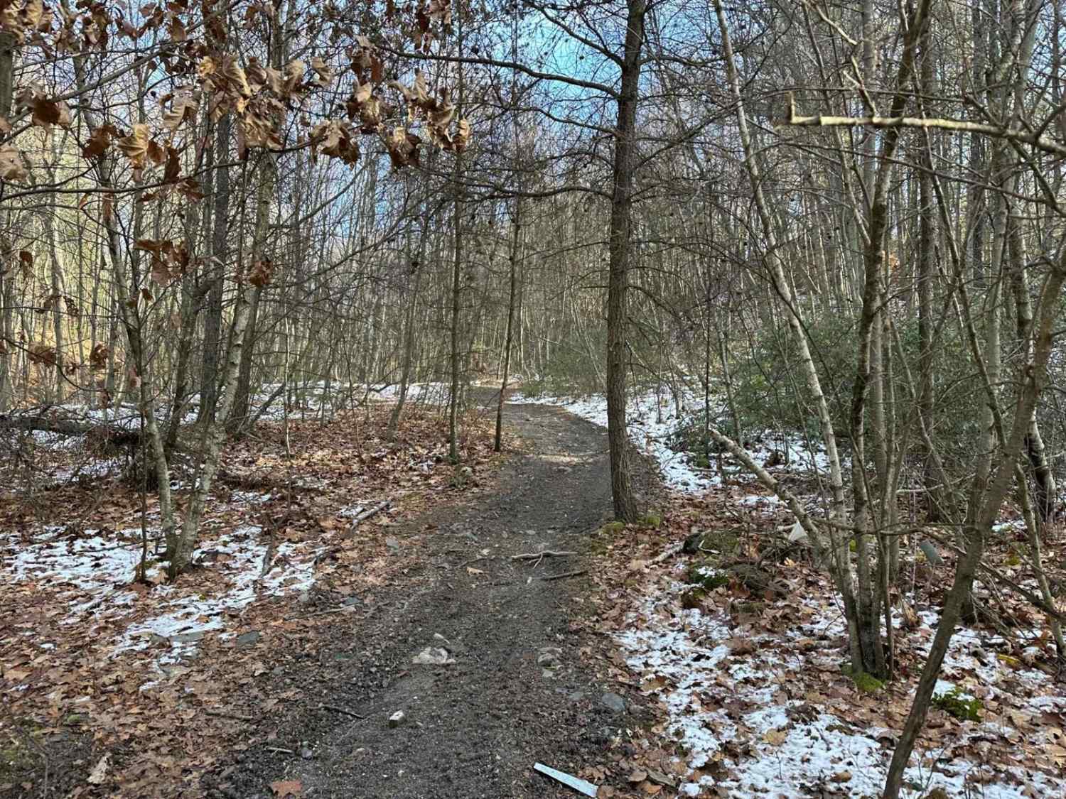 Locust Gap Single Track 6