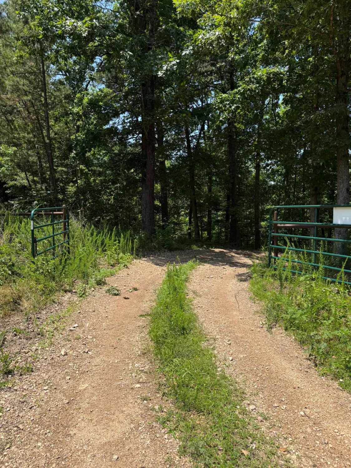 Hunter's Trail