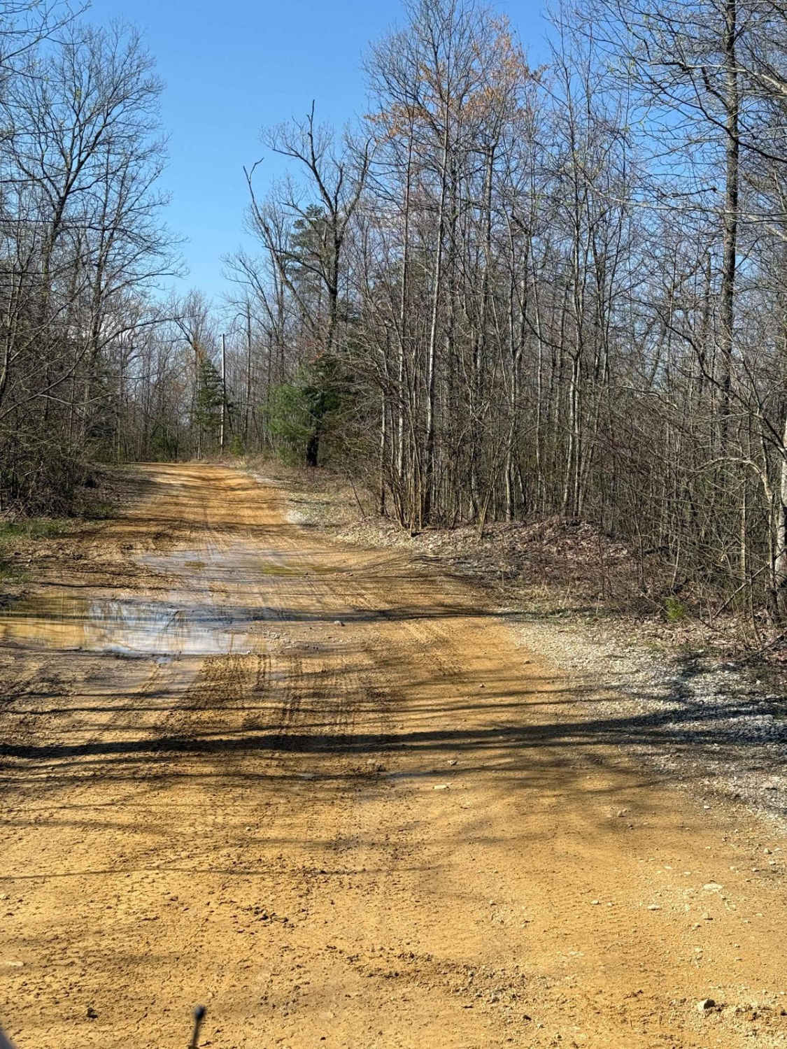 Trail 12