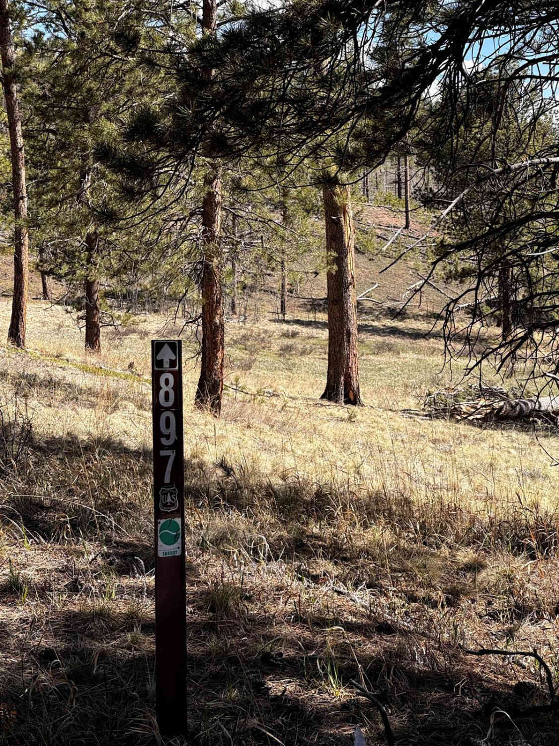 Sportsman Road (FS 897)