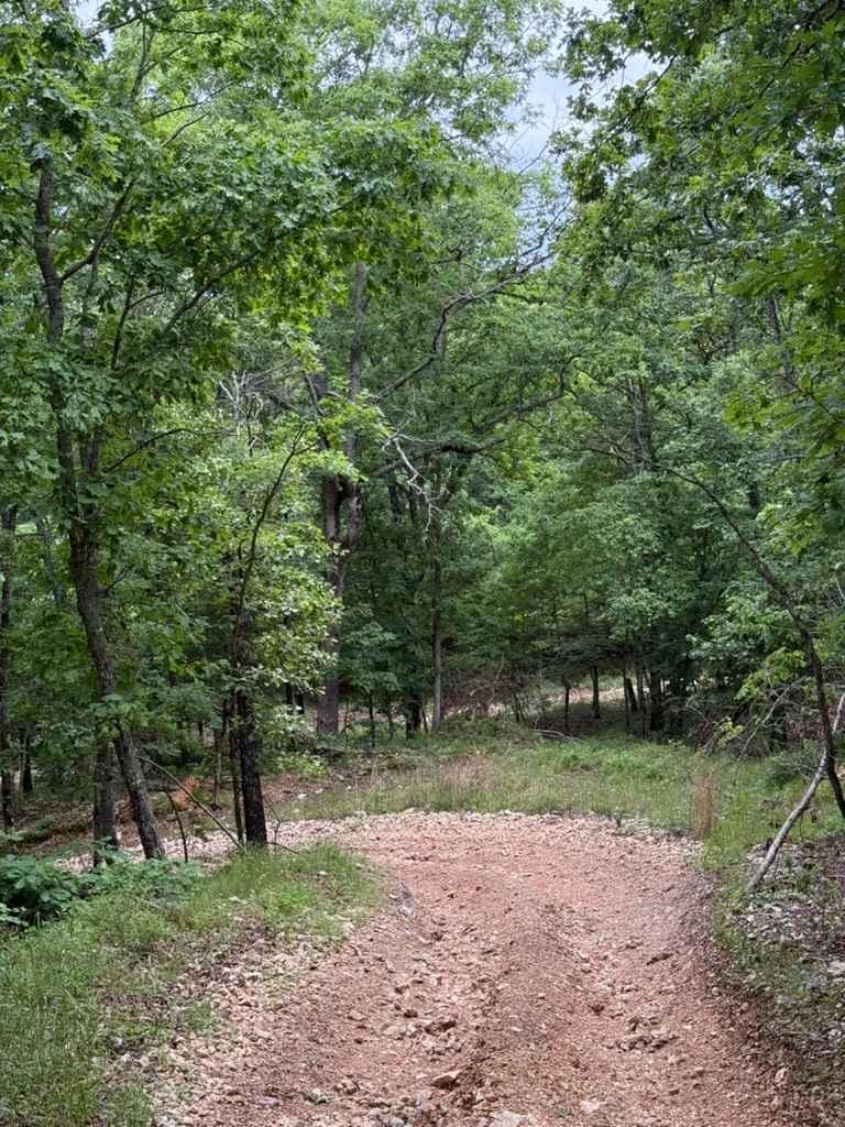 Micheal's Trail