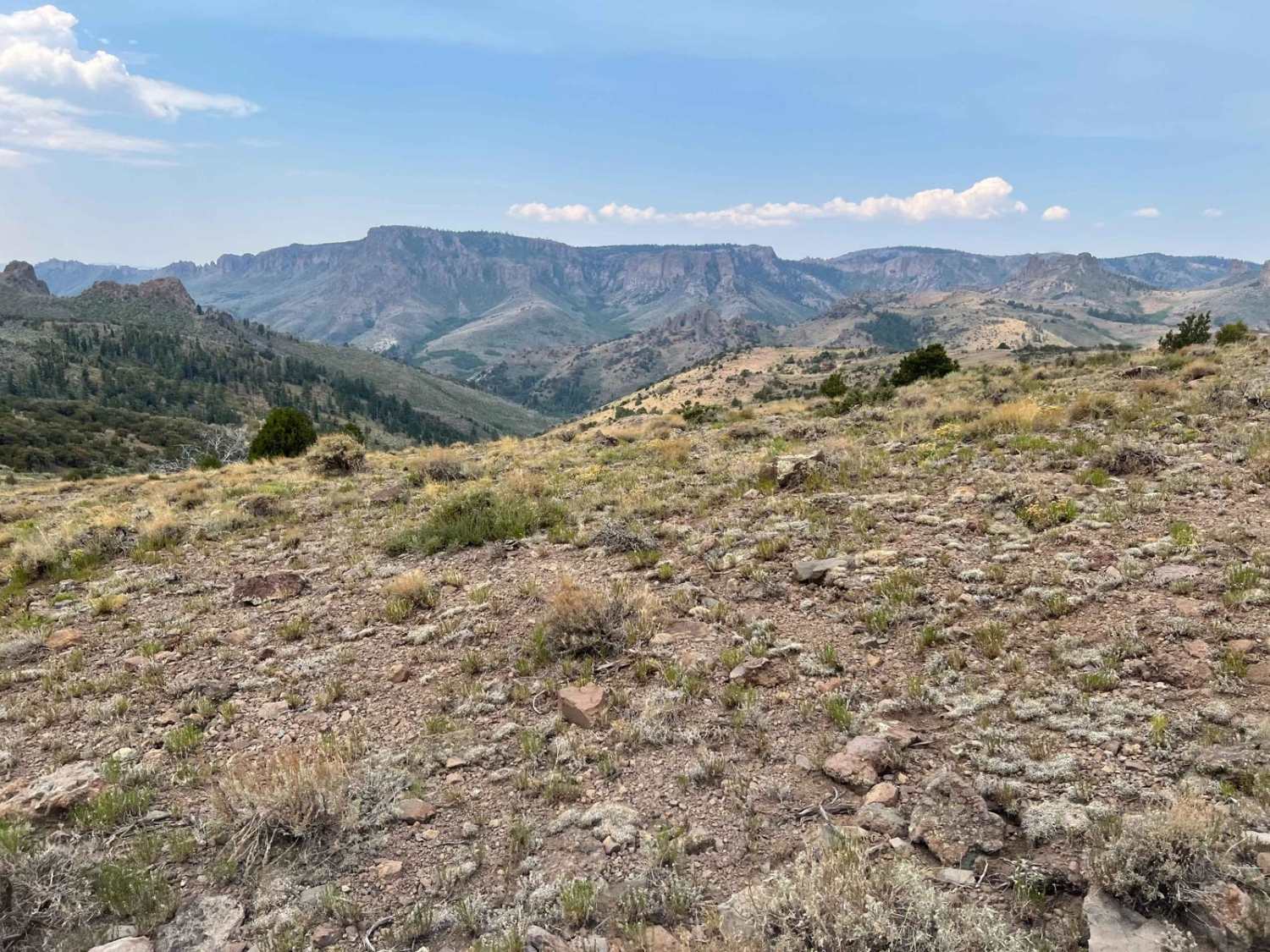 Center Creek - Flattop (BLM 30191/30190)