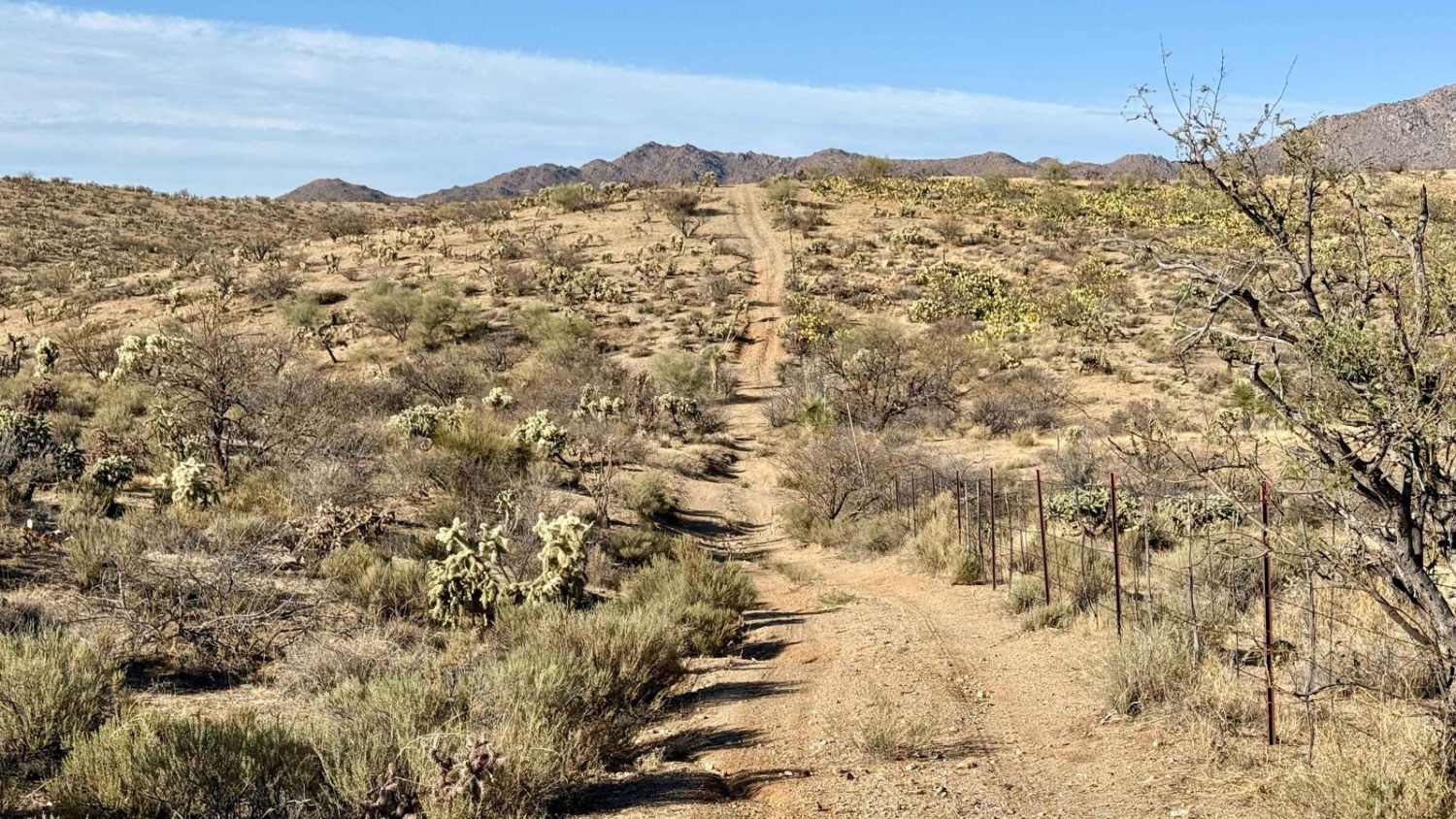 Western, East Willow Springs Road