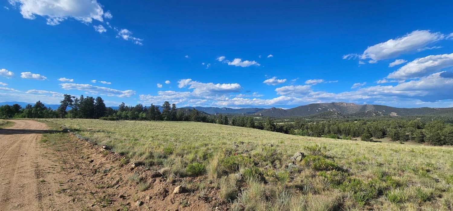Turner Gulch Road 