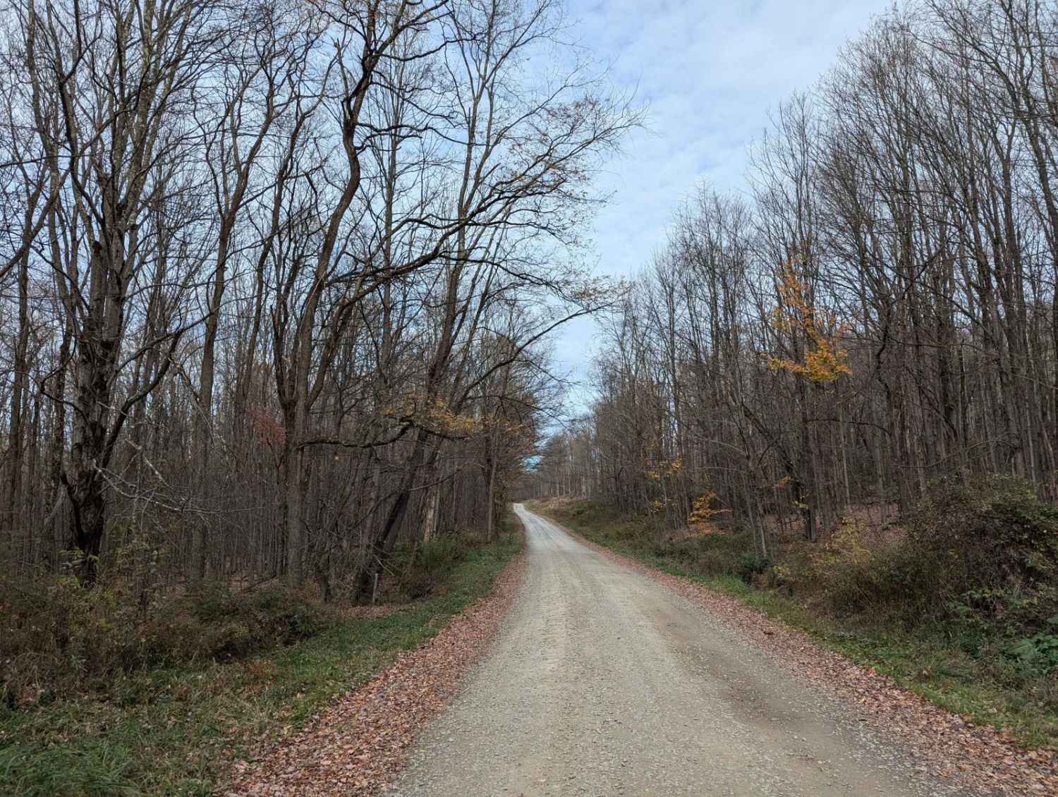 Fox Road